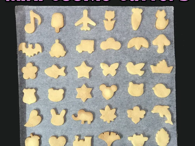 mini cookie cutter set