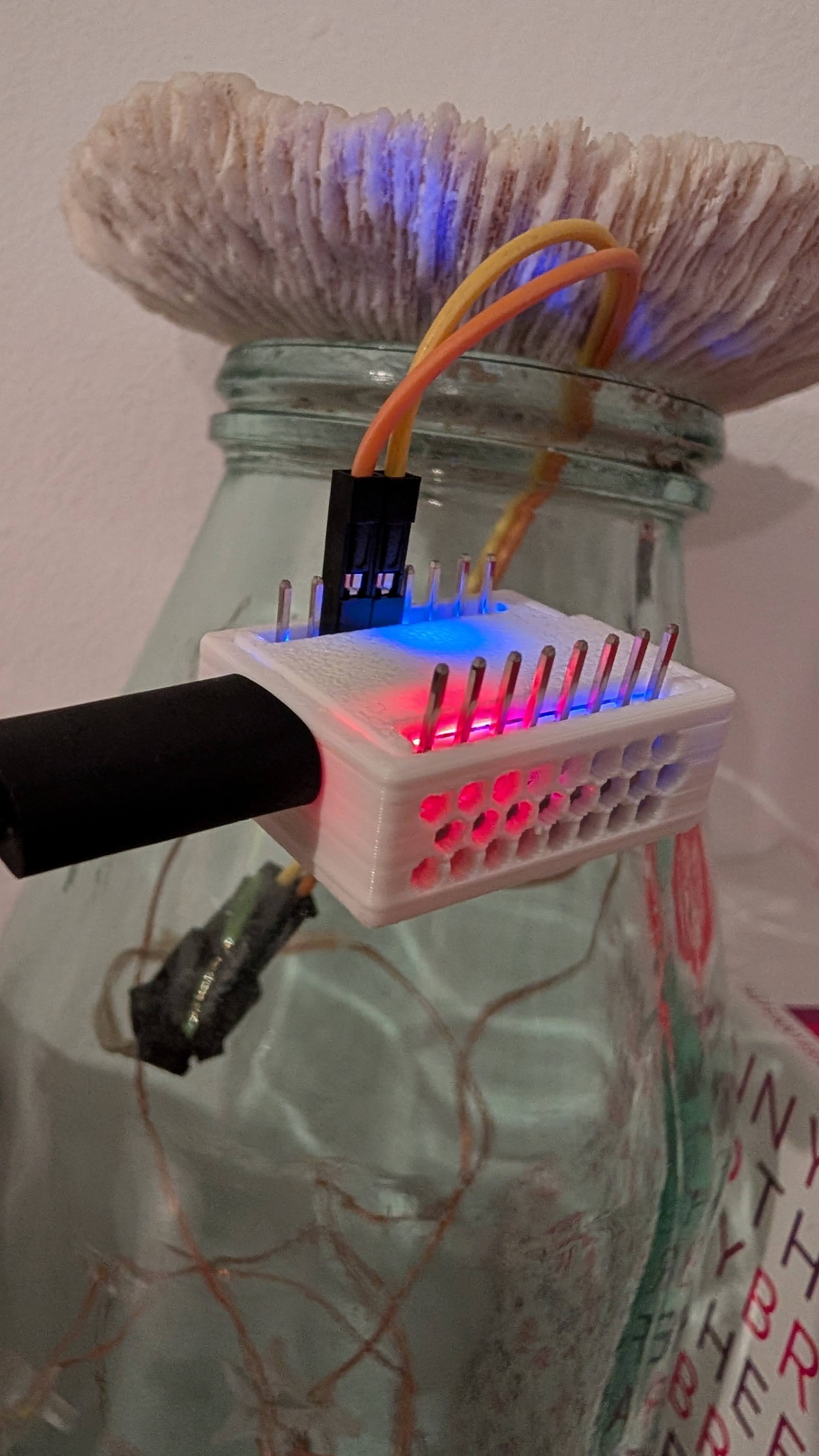 ESP32 C3 Supermini Case with Pin cutouts