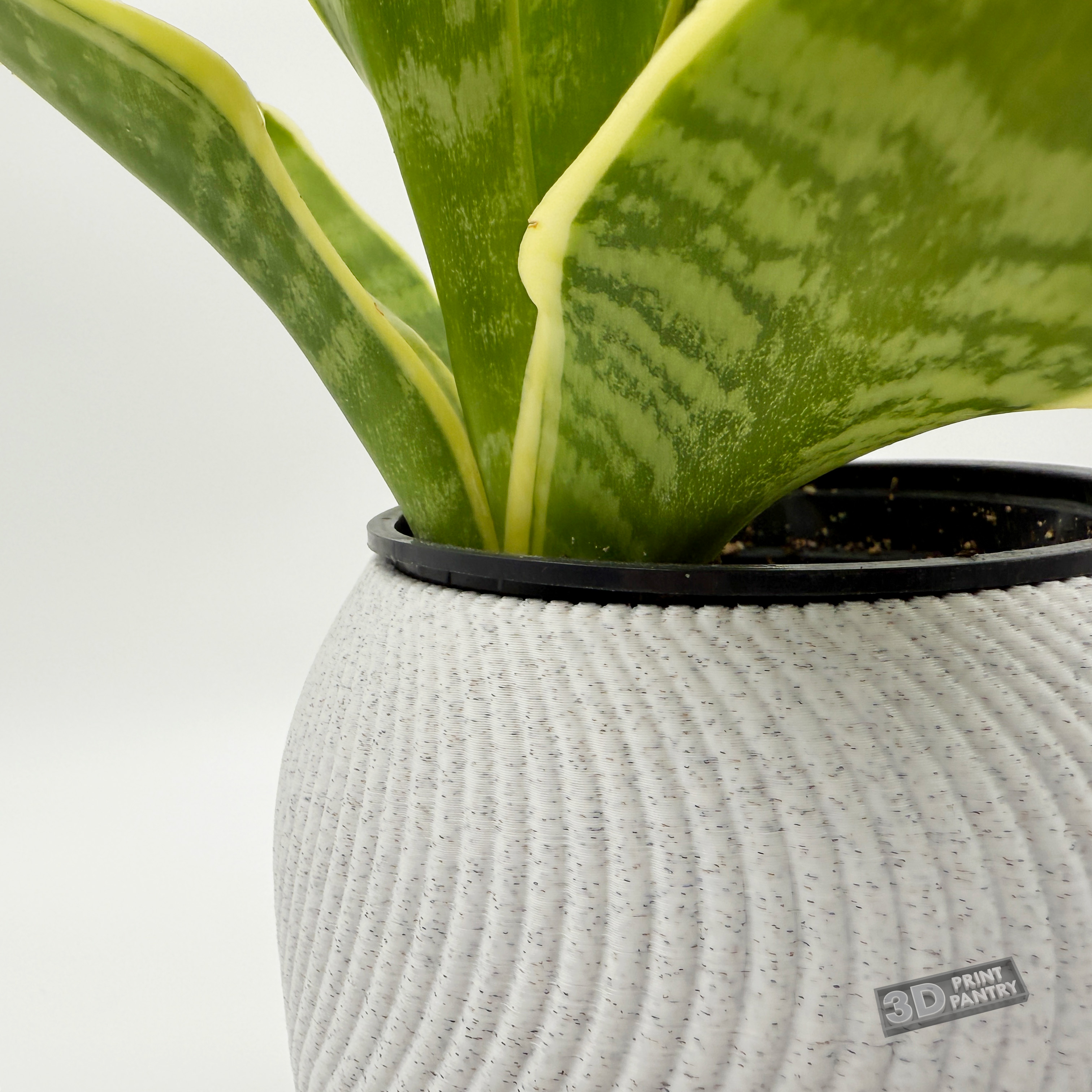 squiggle-plant-pot-by-3dprintpantry-download-free-stl-model