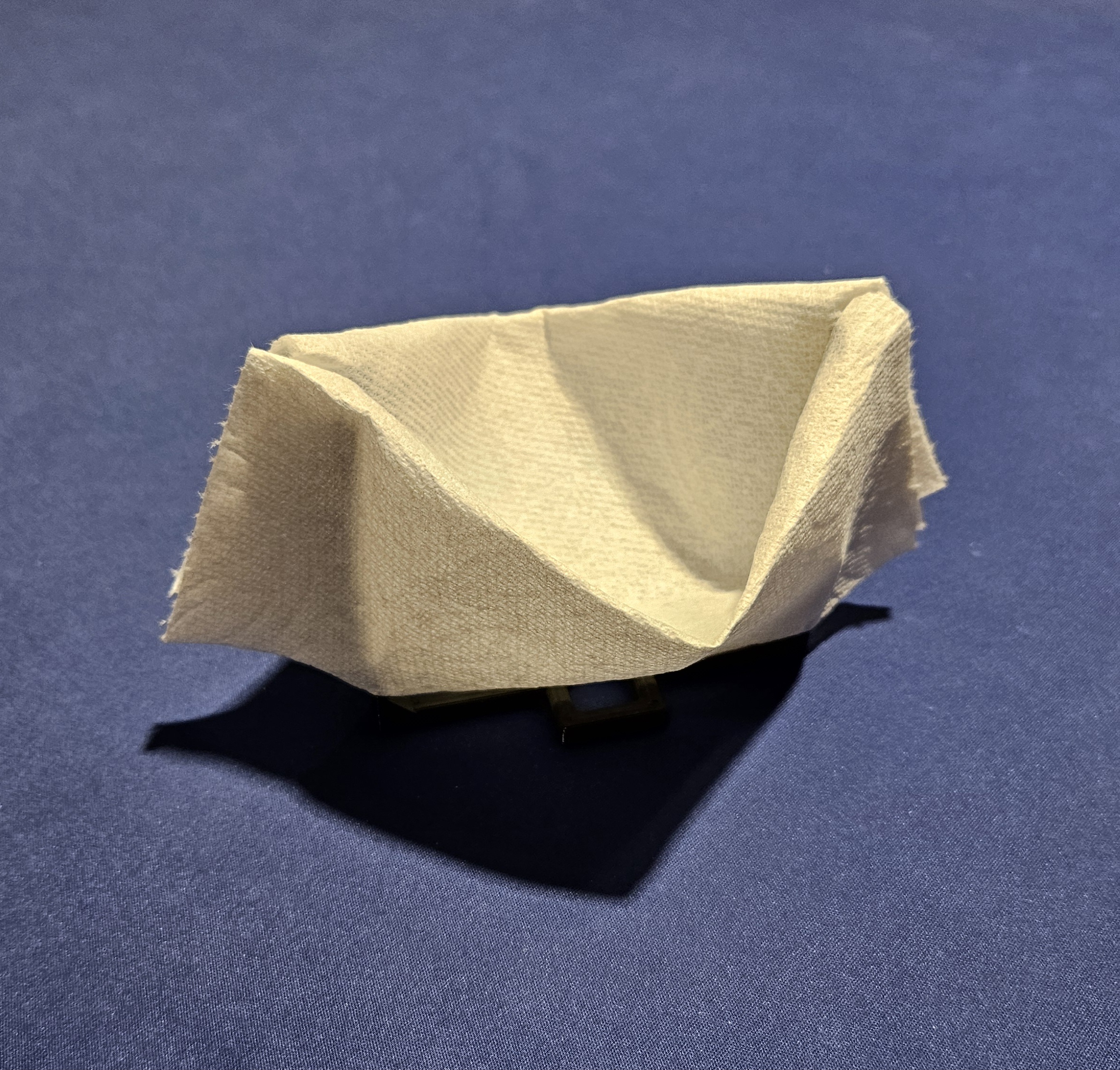 Paper Towel Snack Bowl