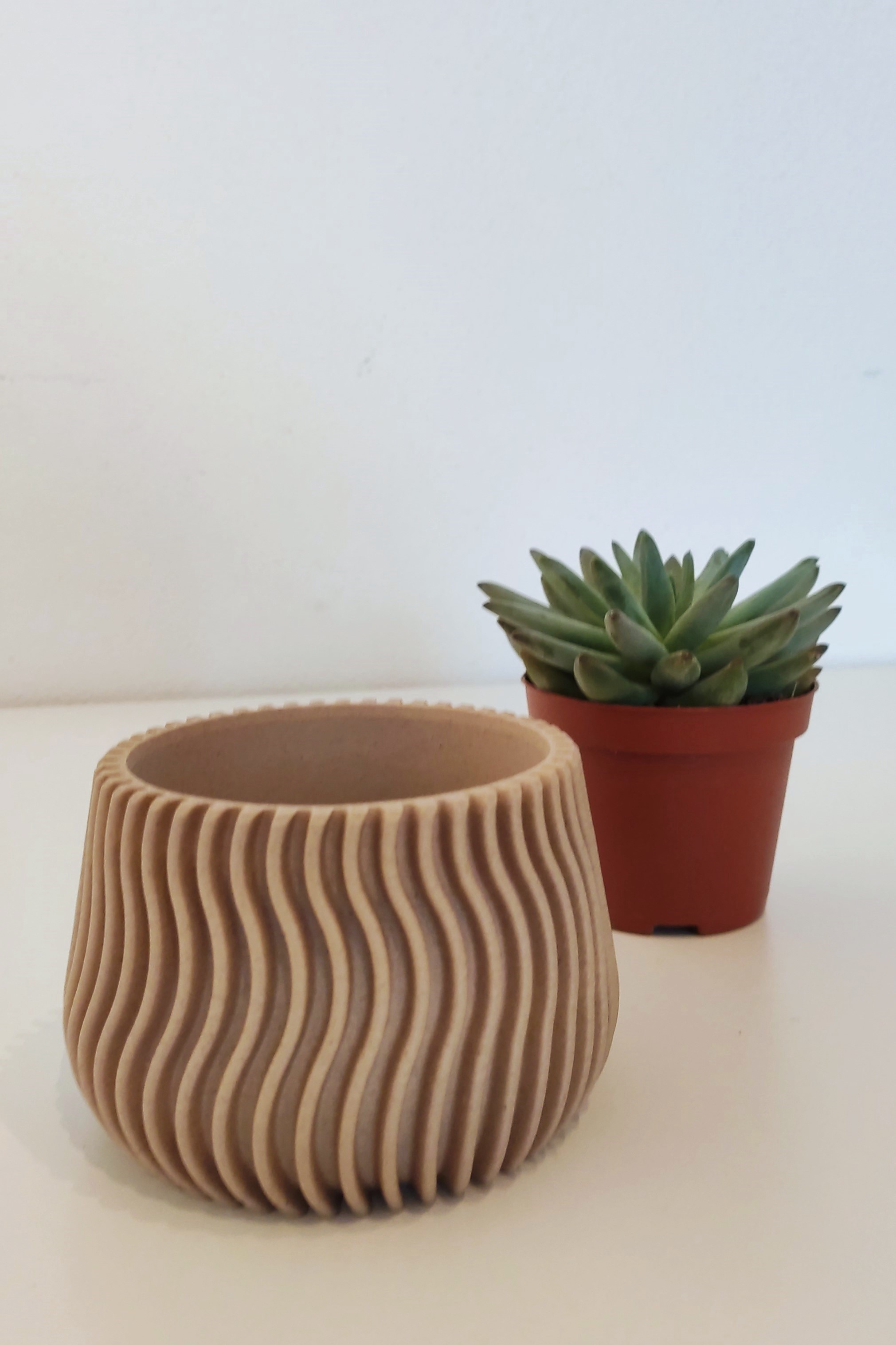 Succulent planter 85mm — thumbnail 5