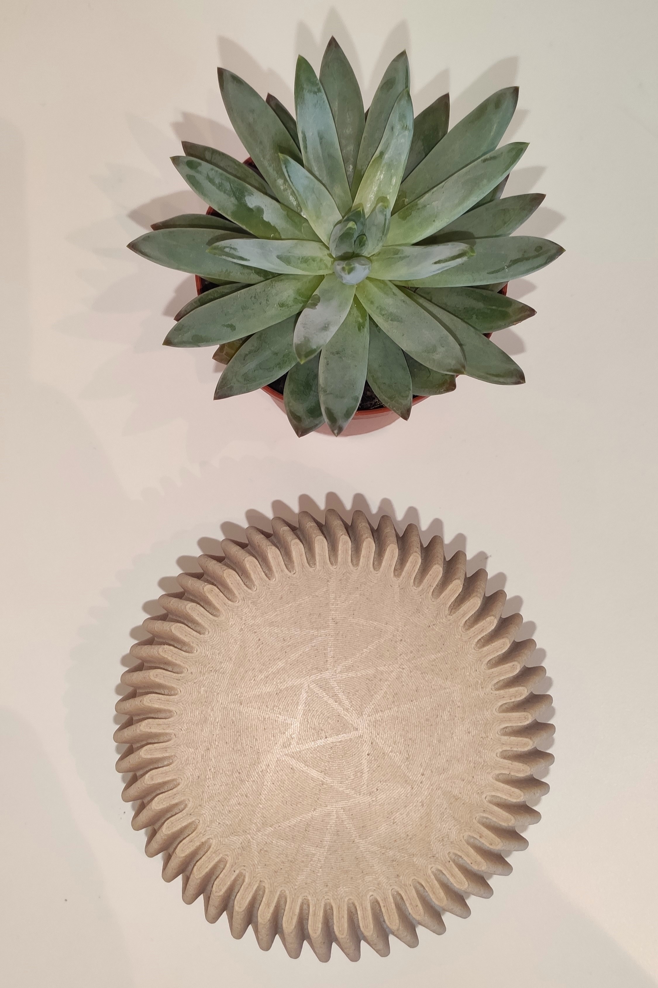 Succulent planter 85mm — thumbnail 4