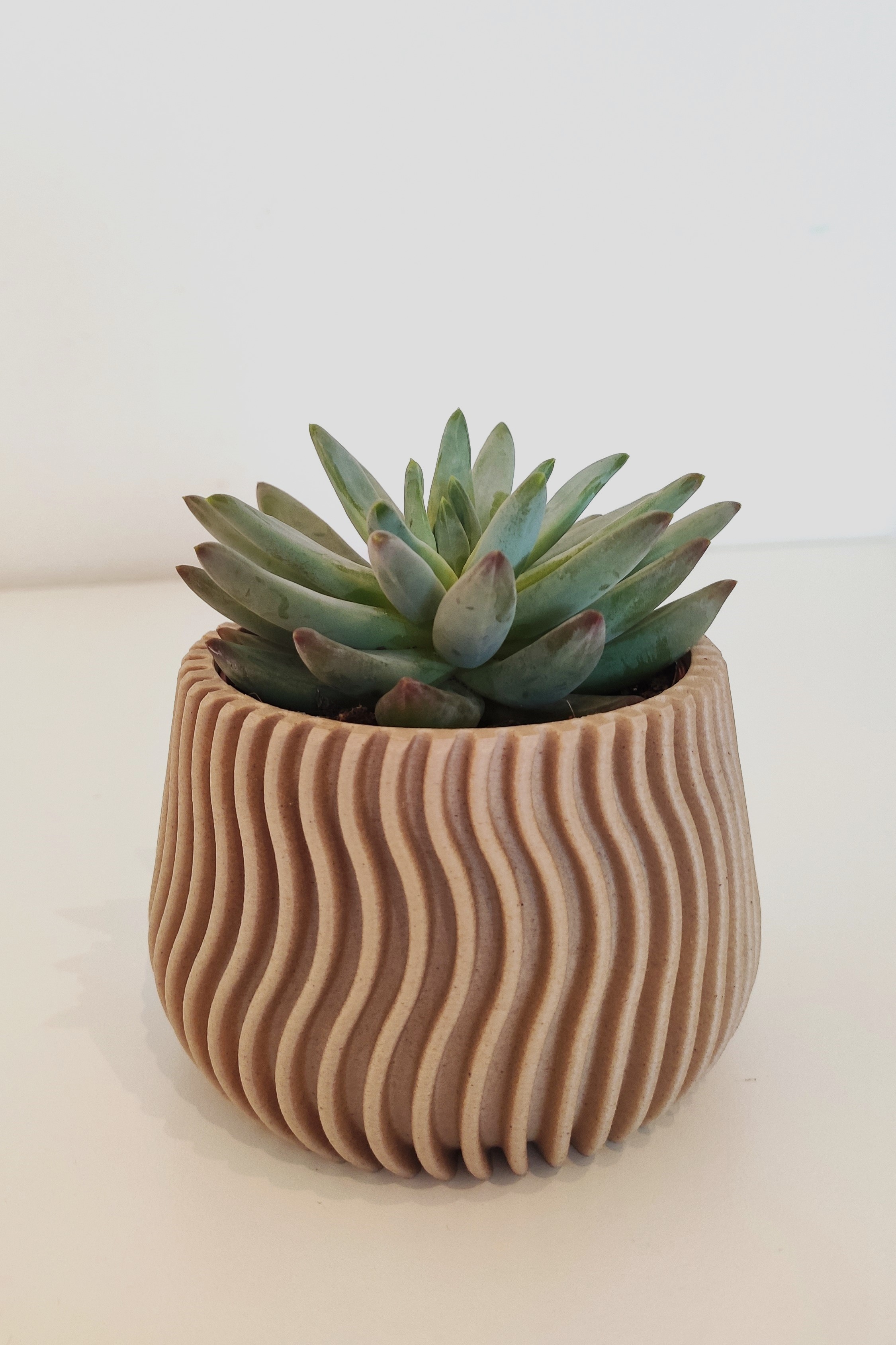 Succulent planter 85mm — thumbnail 2
