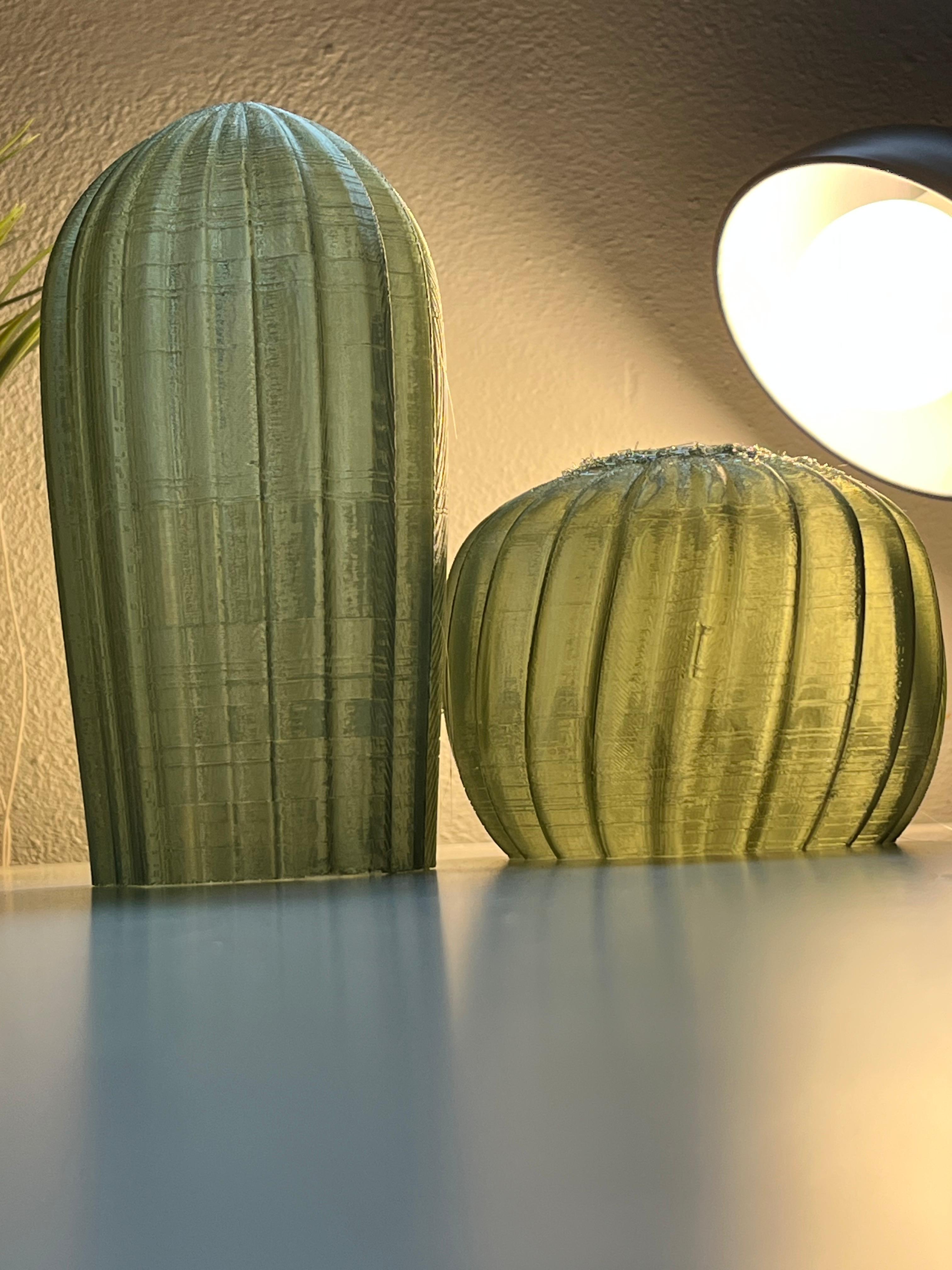 Cactus Combo — miniatura 3