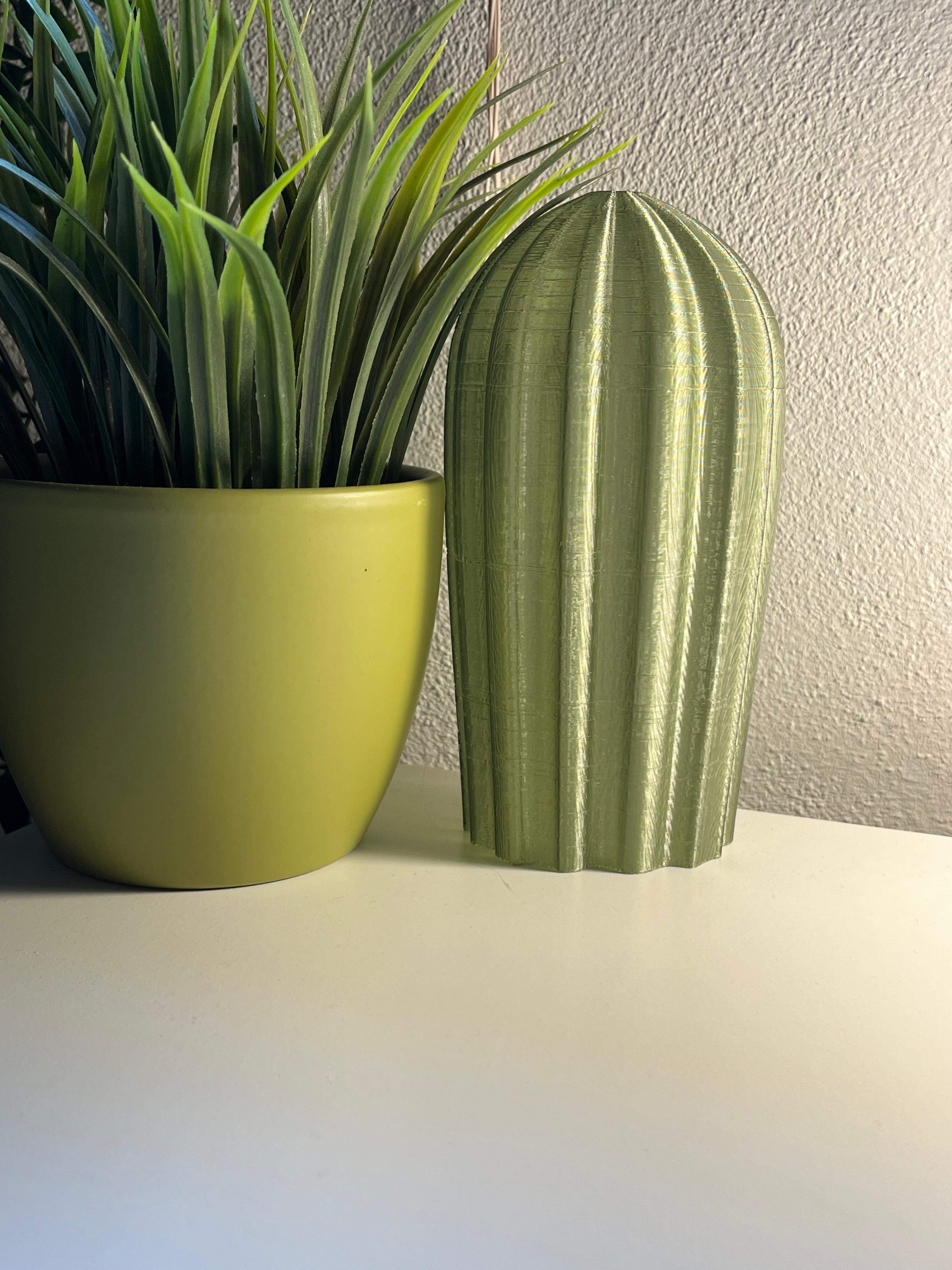 Cactus Combo — miniatura 4