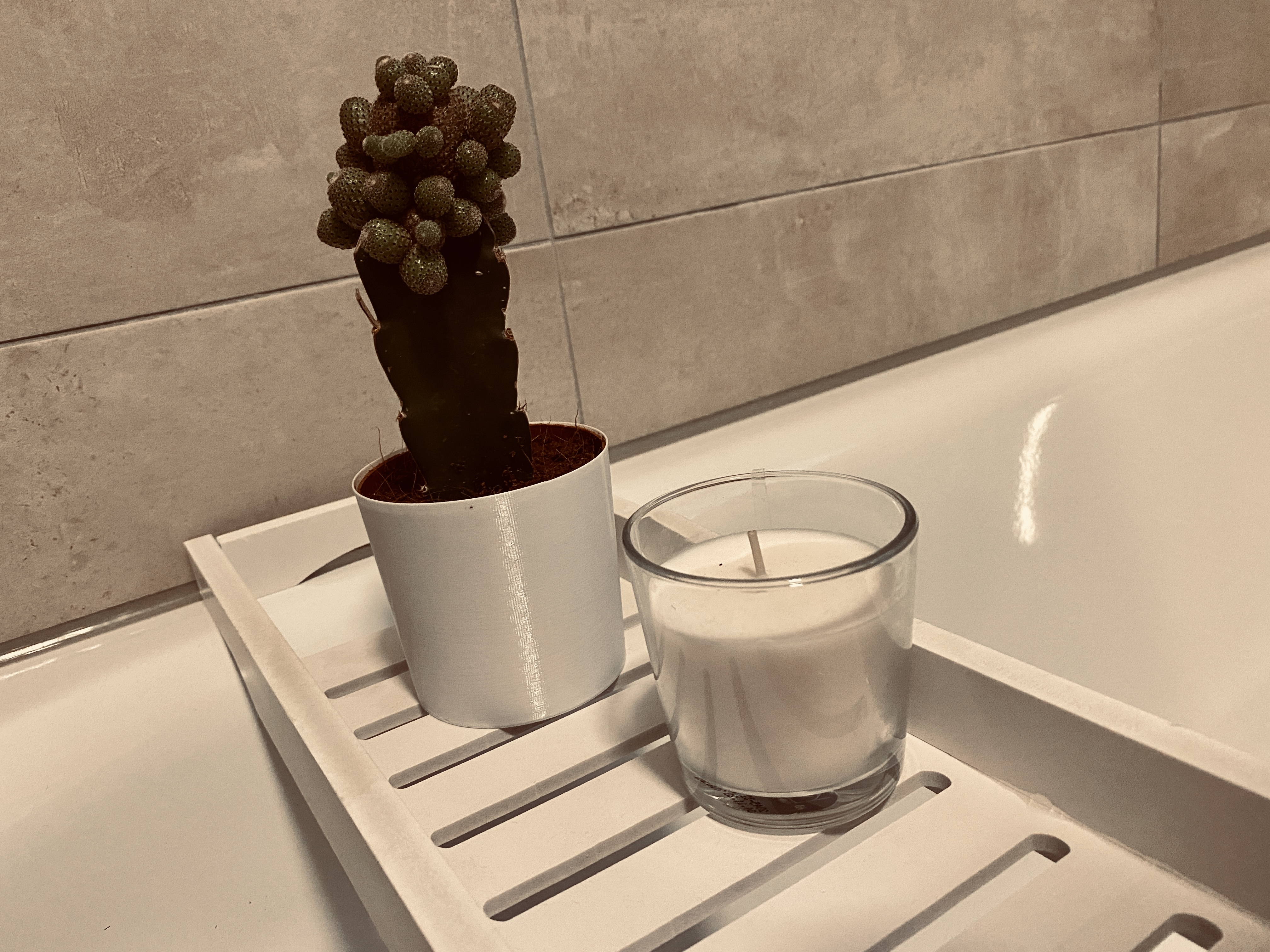 Simple scalable vase for different plants and needs