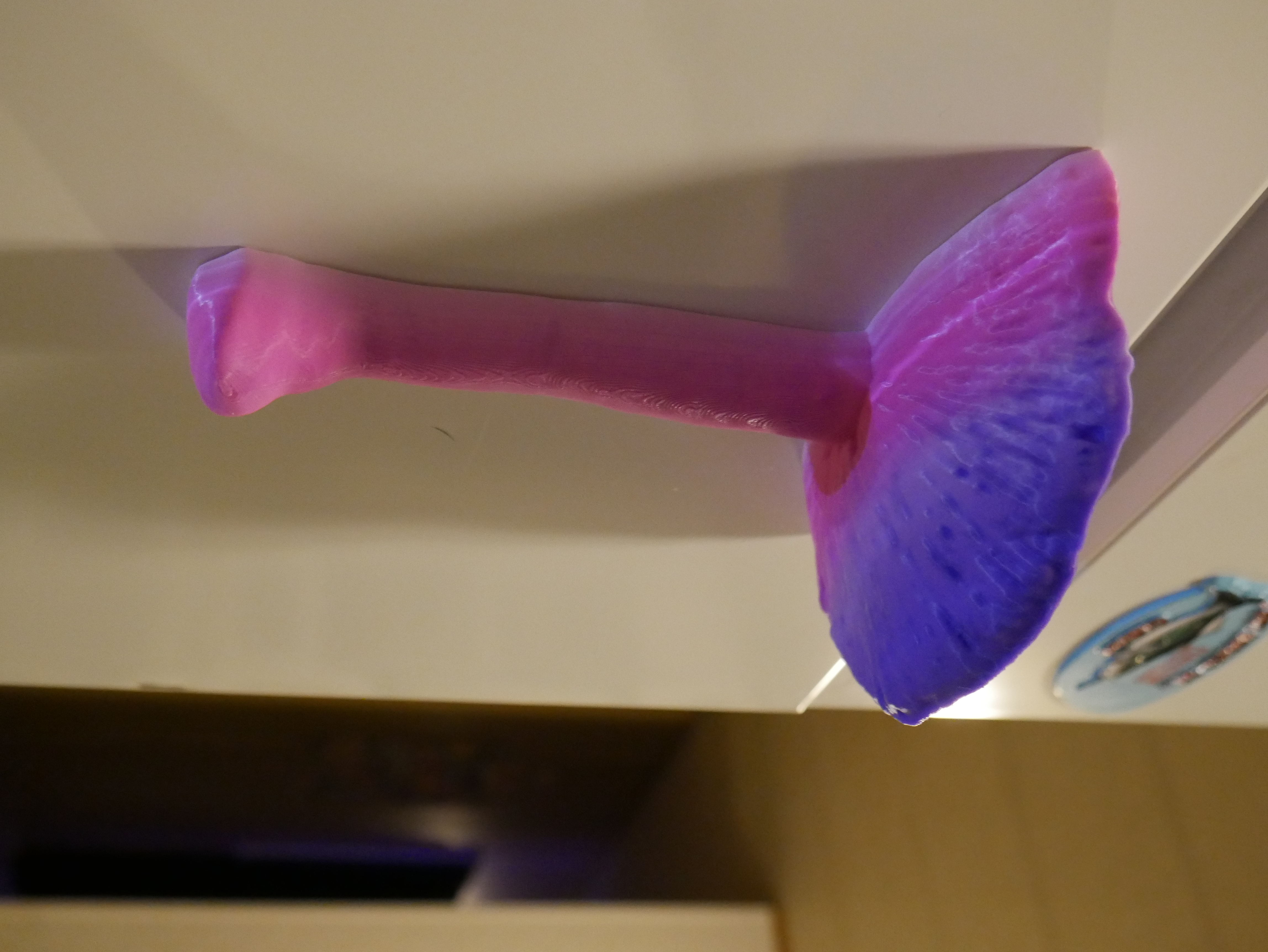 Mushroom Magnet
