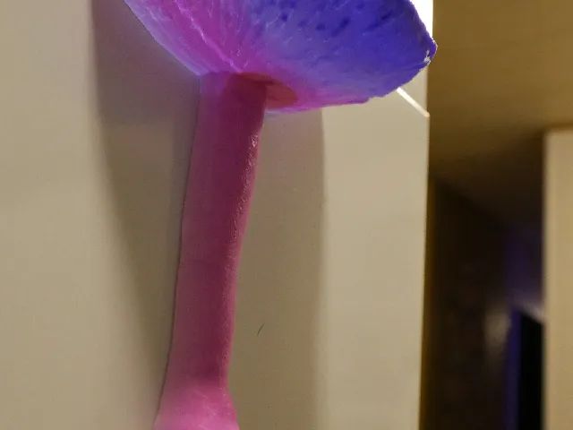 Mushroom Magnet