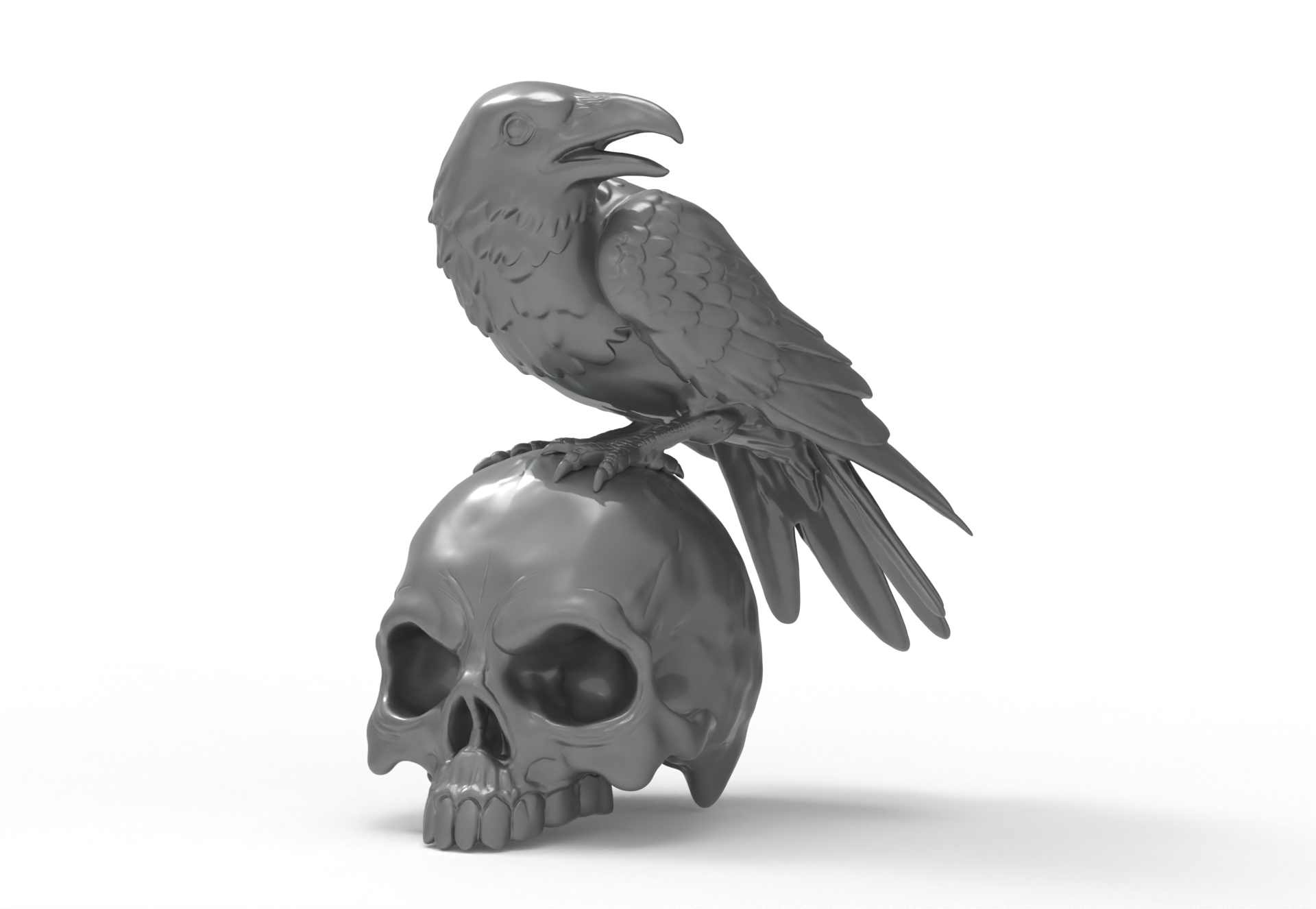 Crow sitting on a Skull