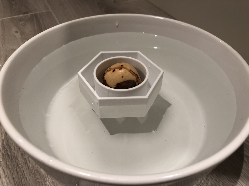 Avocado hex boat — miniatura 2