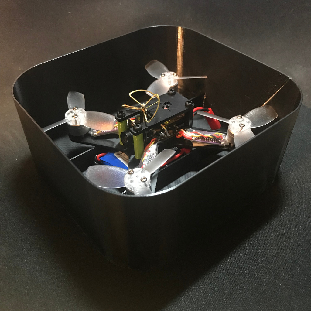 Flite Test Gremlin Case