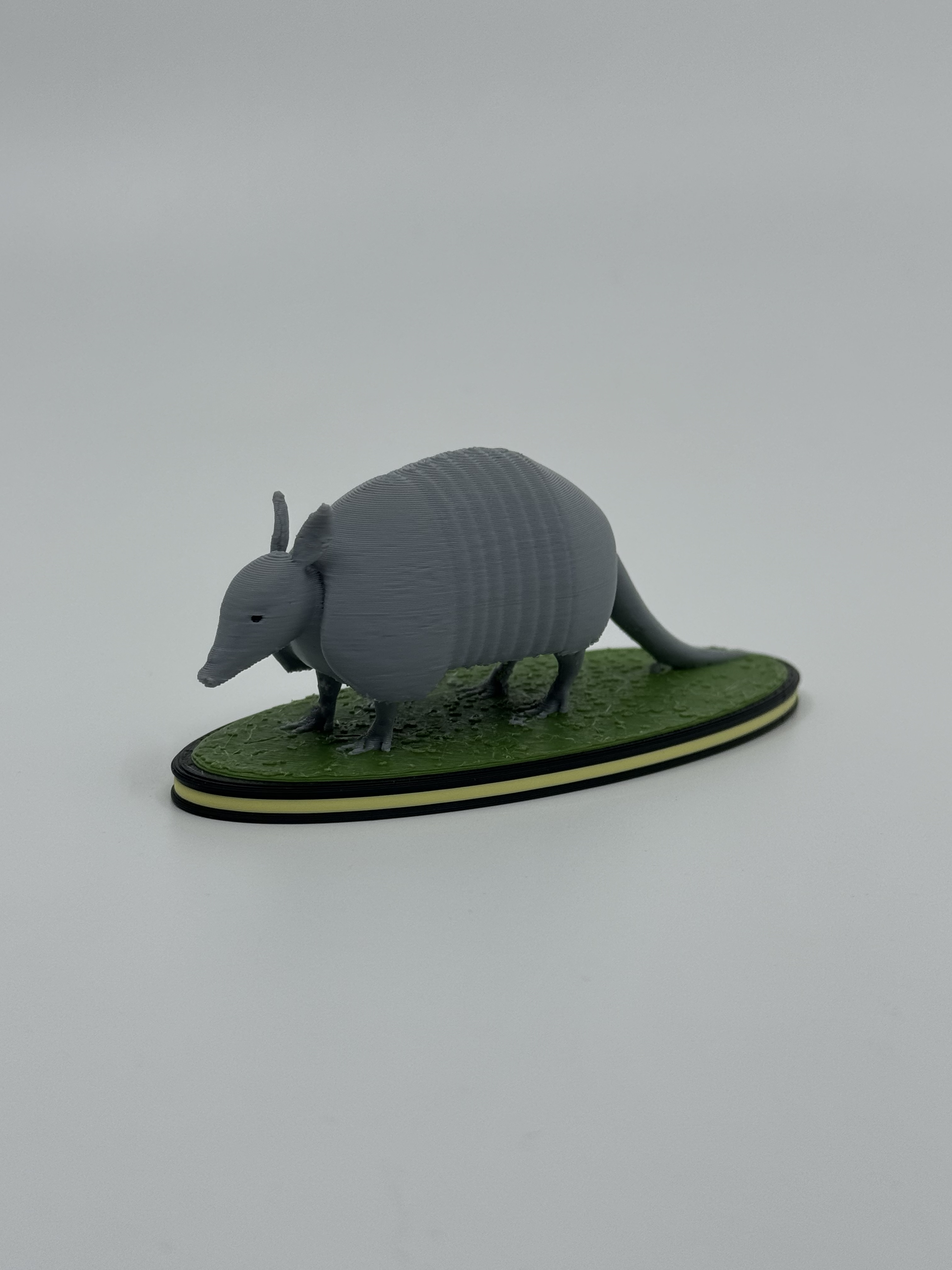 Armadillo