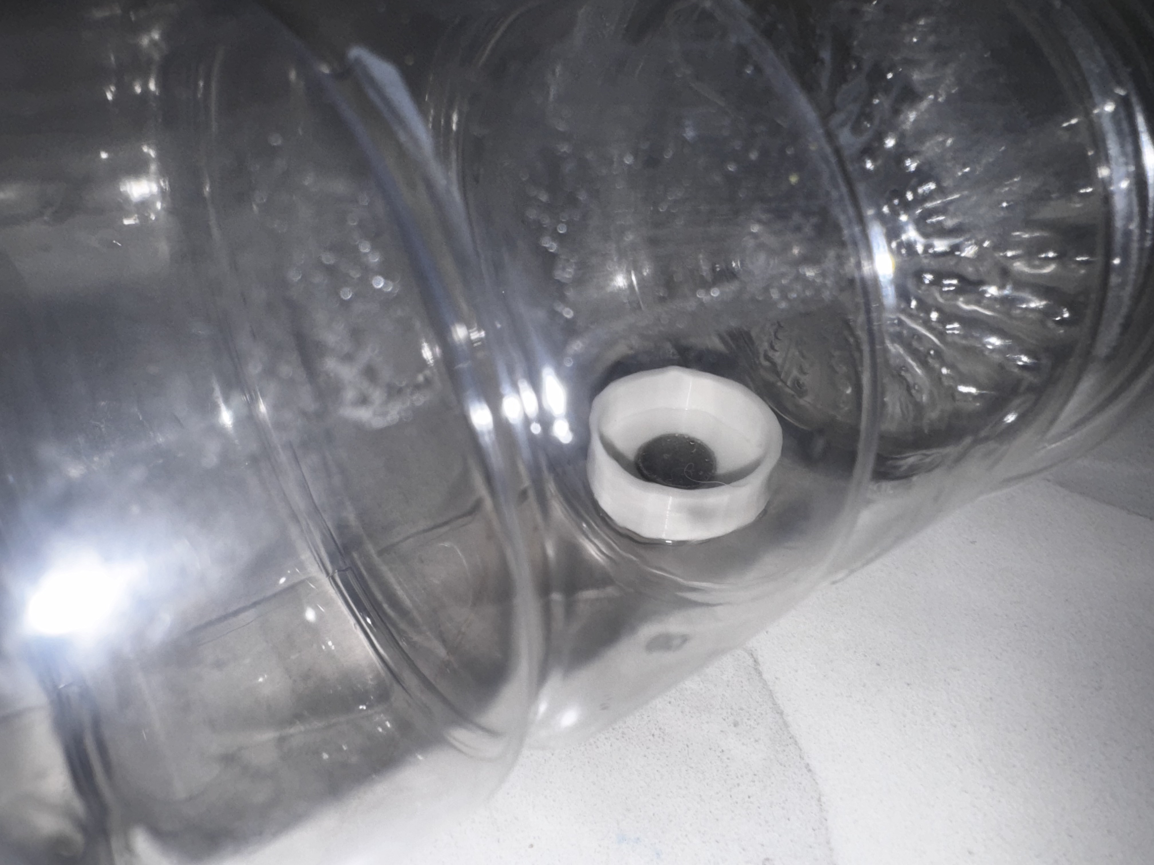 Bottle _ Mouse Trap