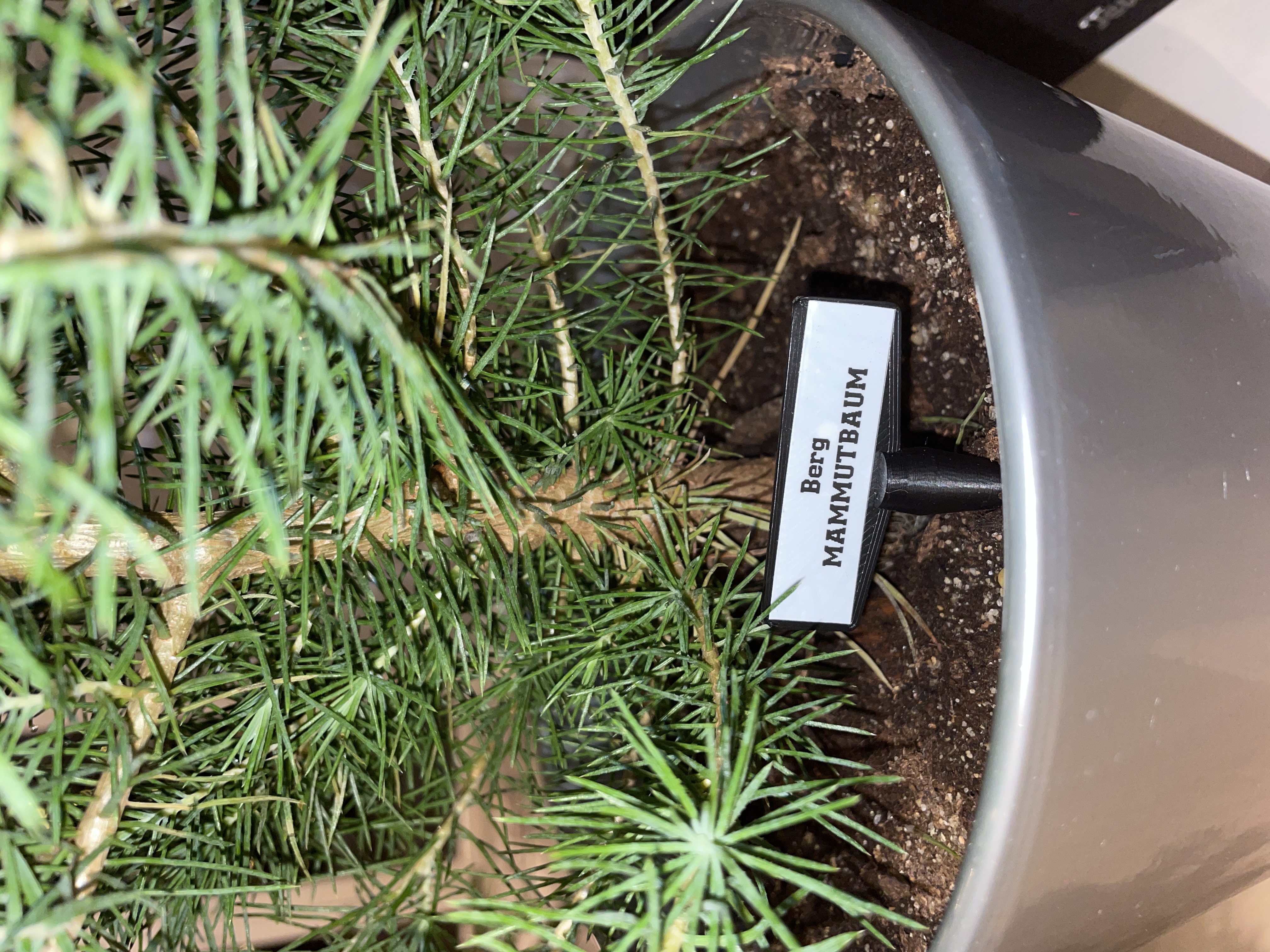 Pflanzenschilder Plant signs