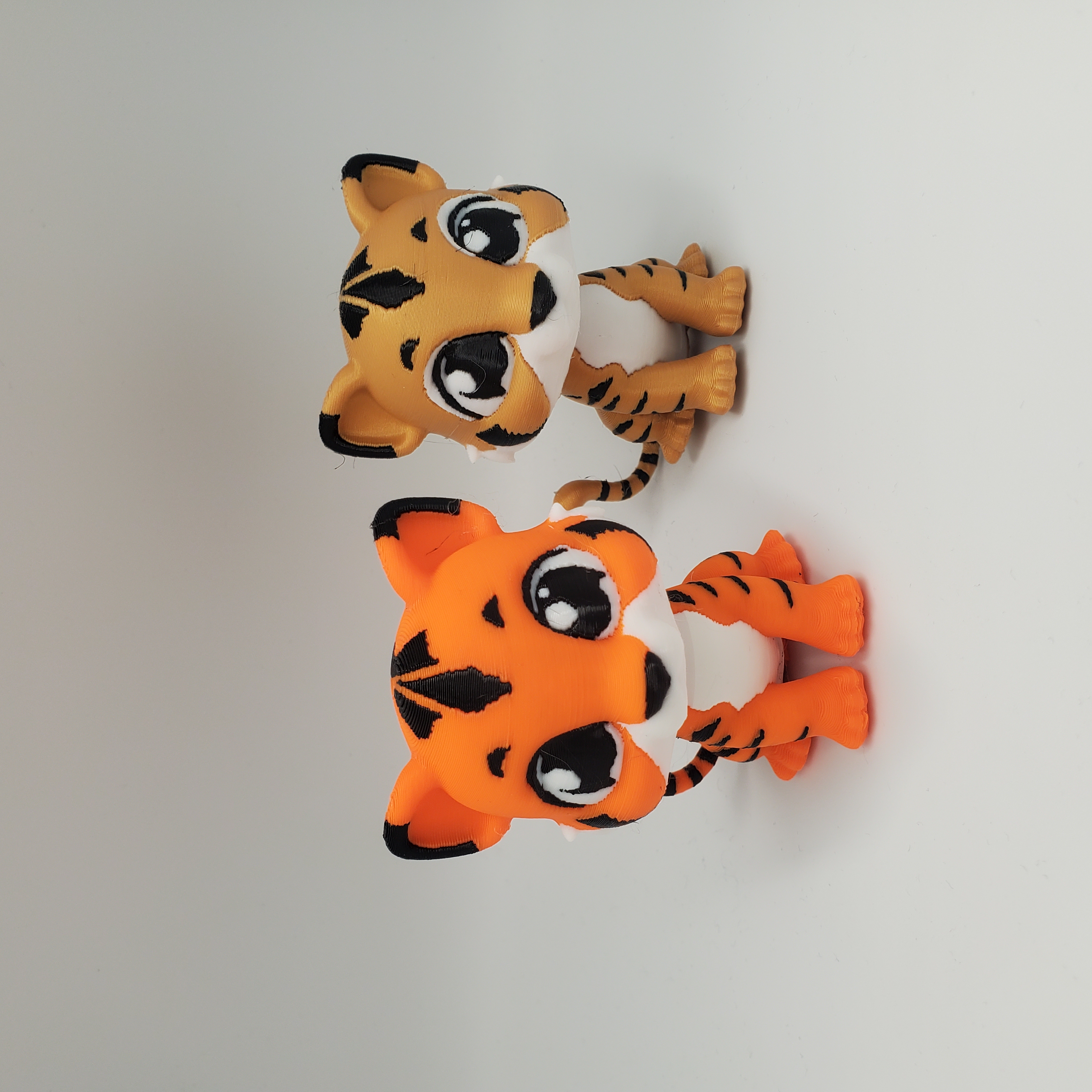 Baby Tiger