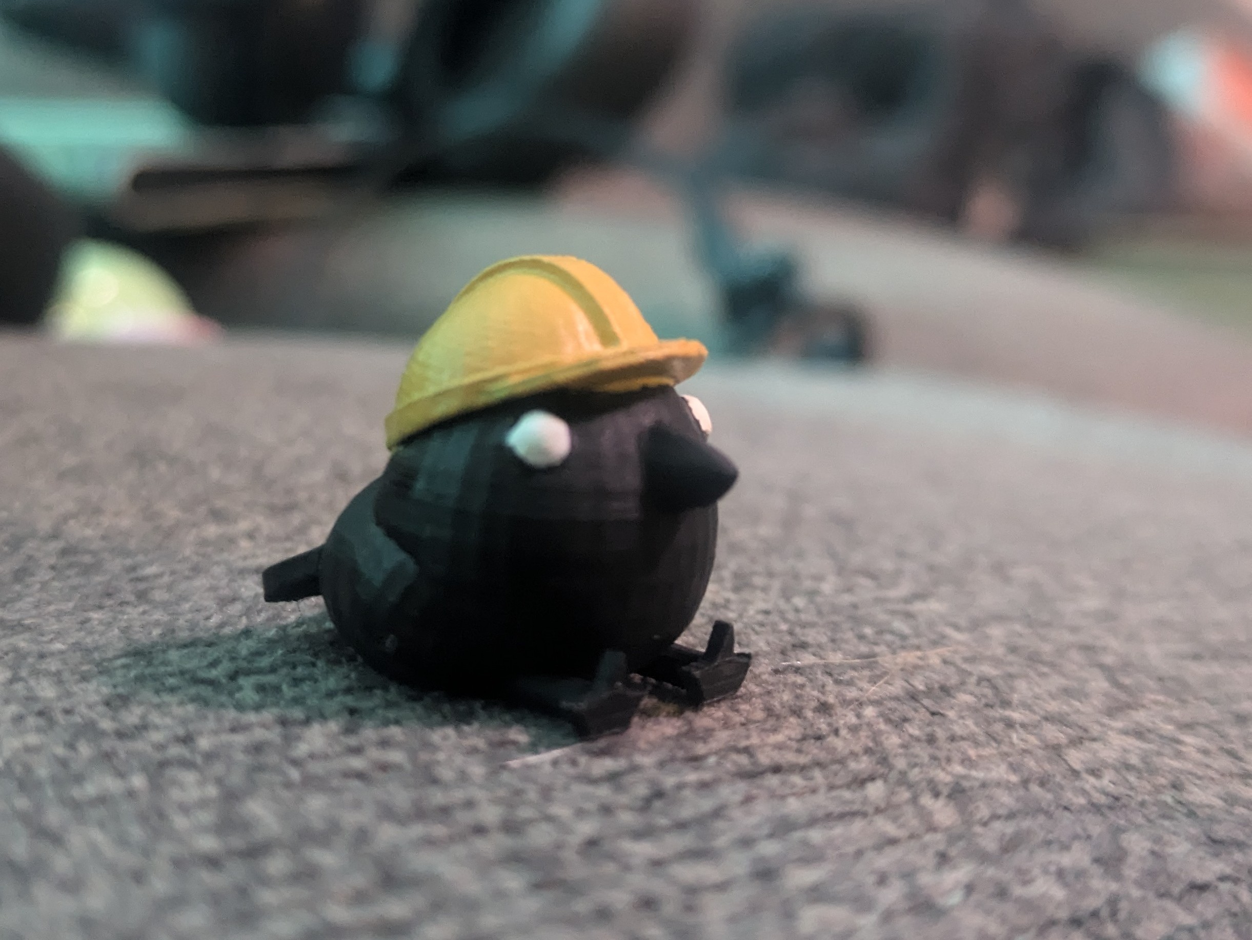 Bird wearing hard hat