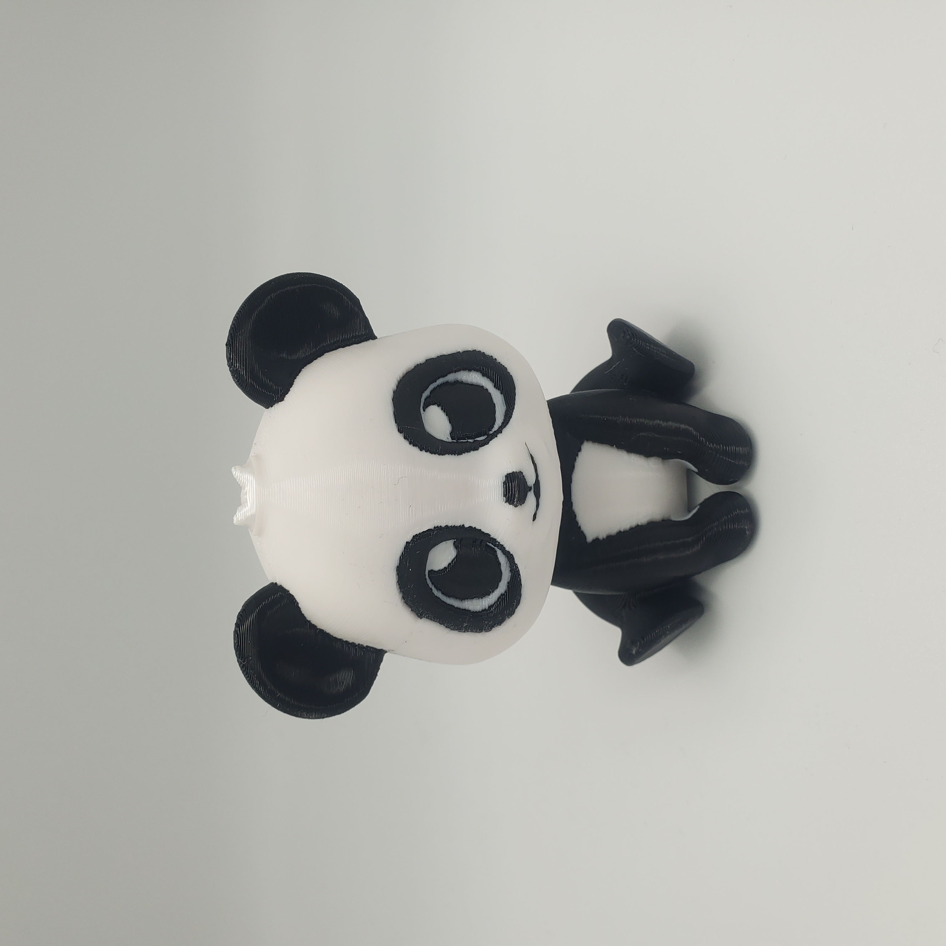 Baby Panda
