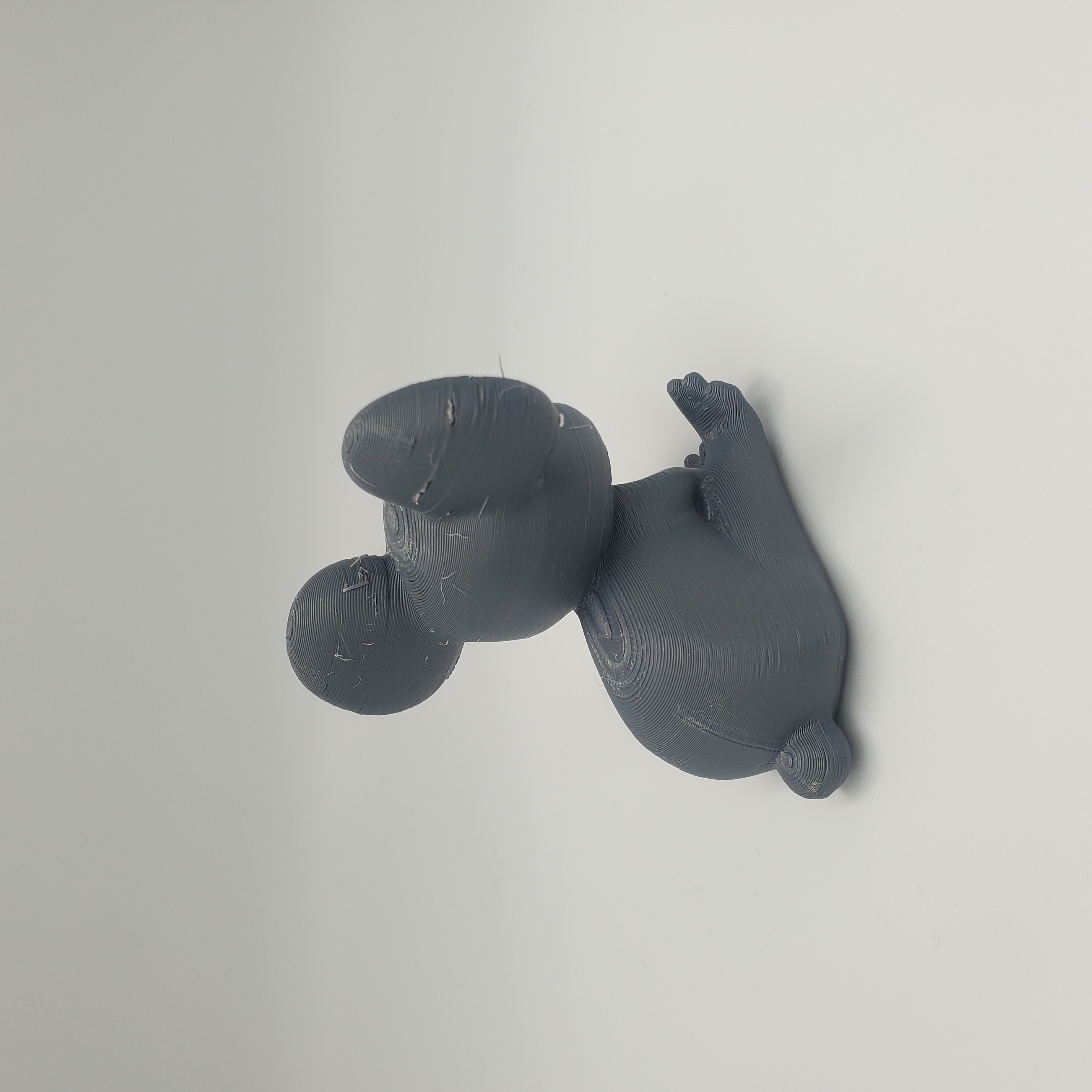 Baby Koala — miniatura 2