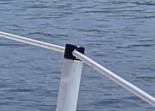 ETAP 22/23 (i/il) scepter cap / railing top adapter