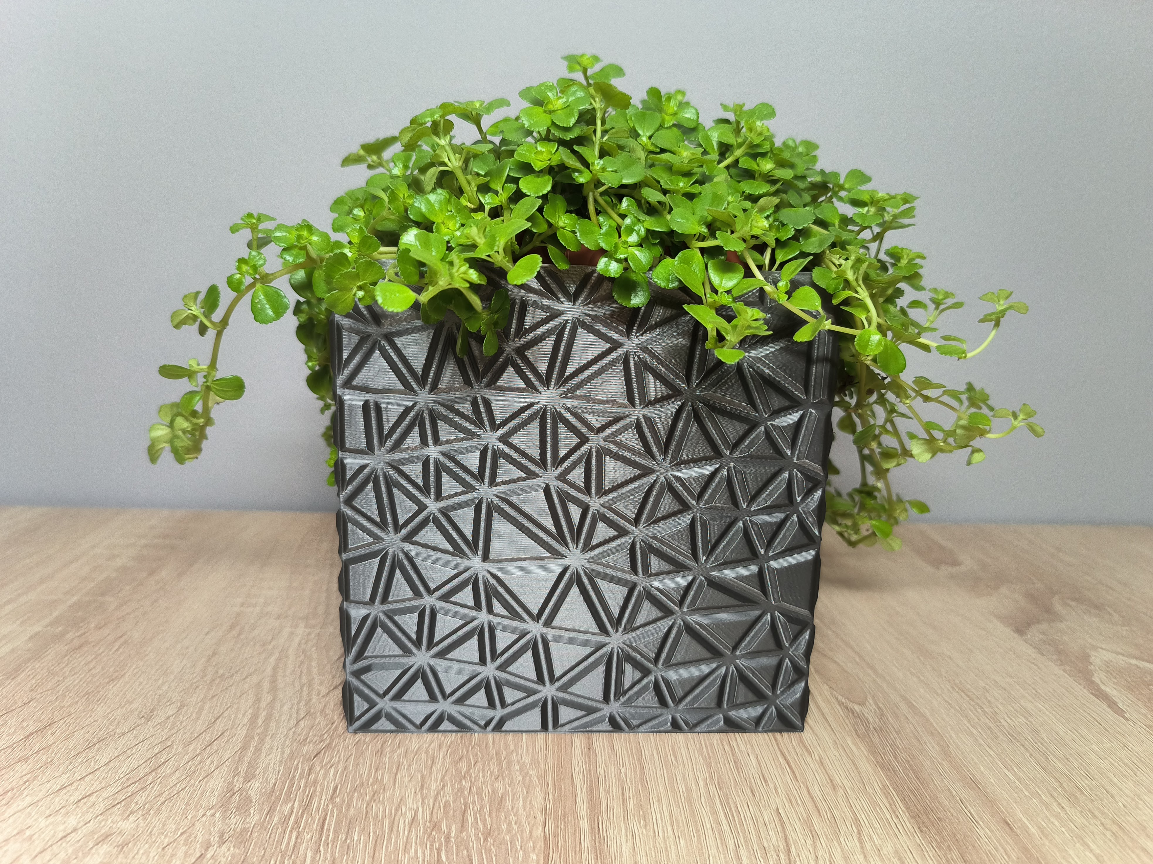 Triangle Planter