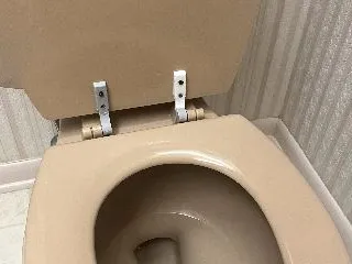Kohler Toilet Seat Lid Hinge