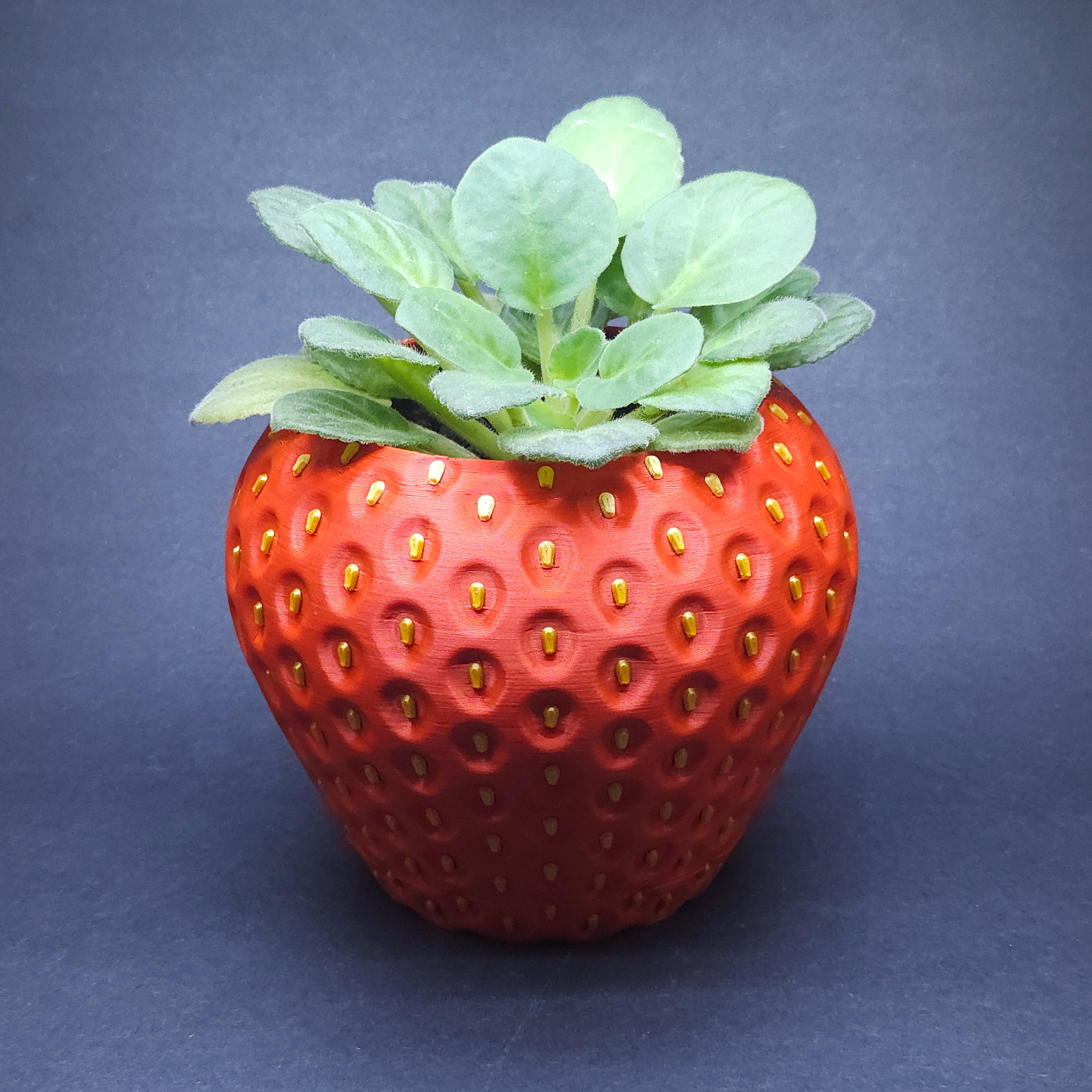 Strawberry Planter (MMU/AMS)