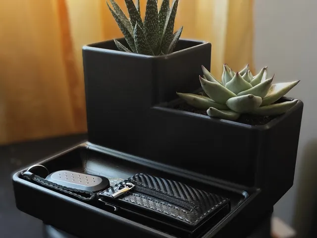 Key tray with pots