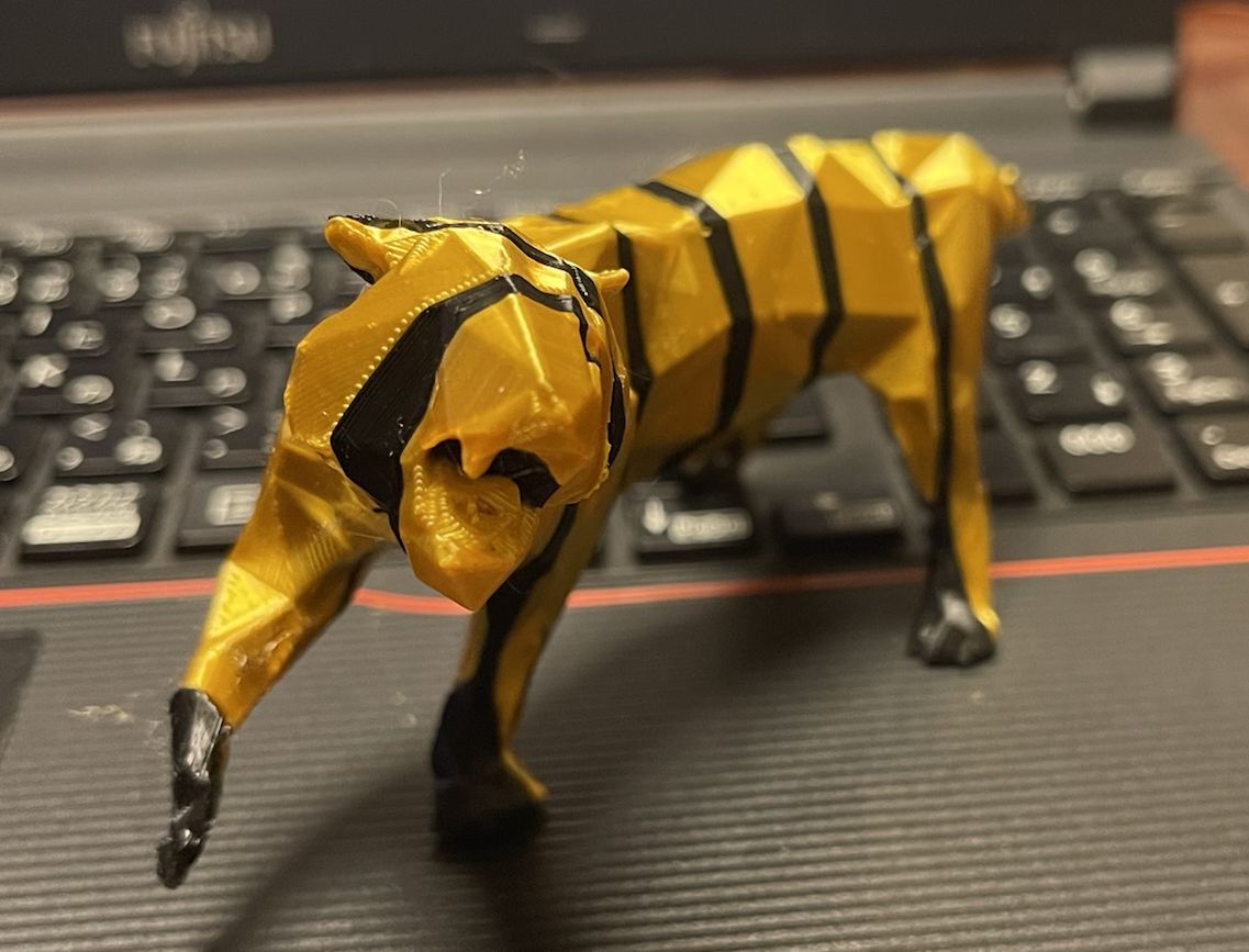 2022 Zodiac - Tiger in dual colors 2