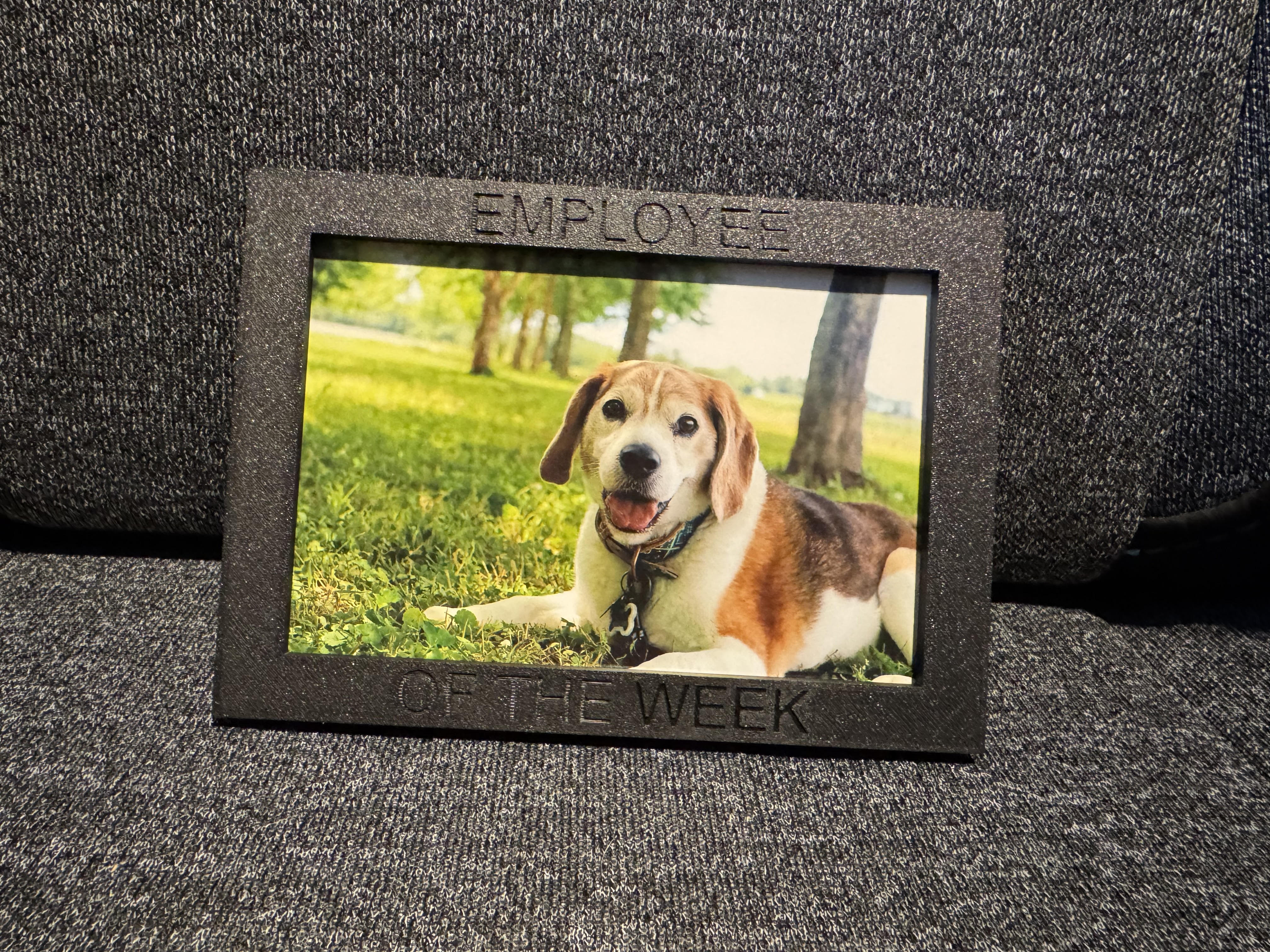 Employee of the Week Magnetic Frame