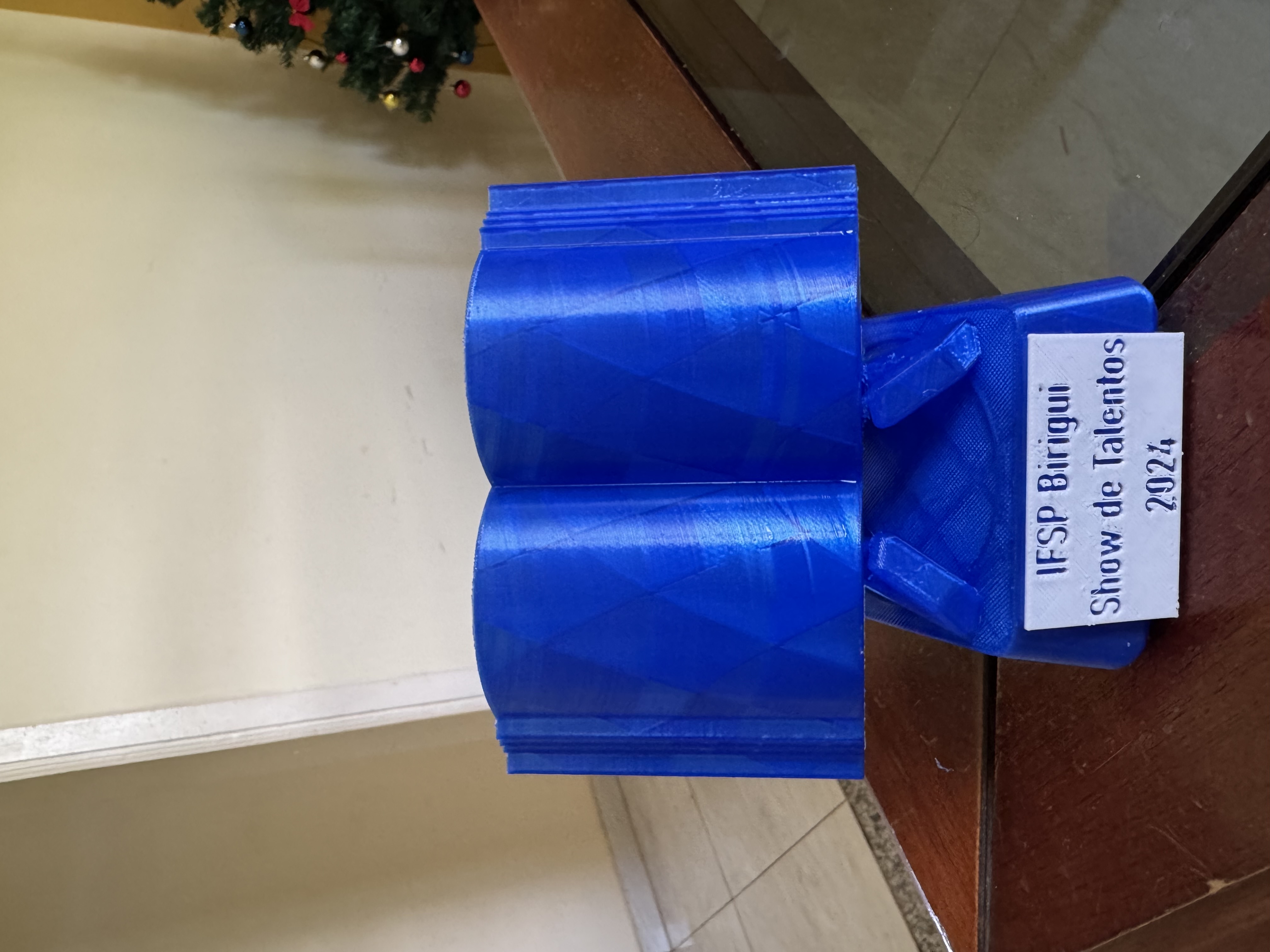 Troféu de destaque na categoria Literatura - Instituto Federal de São Paulo - Show de Talentos 2024