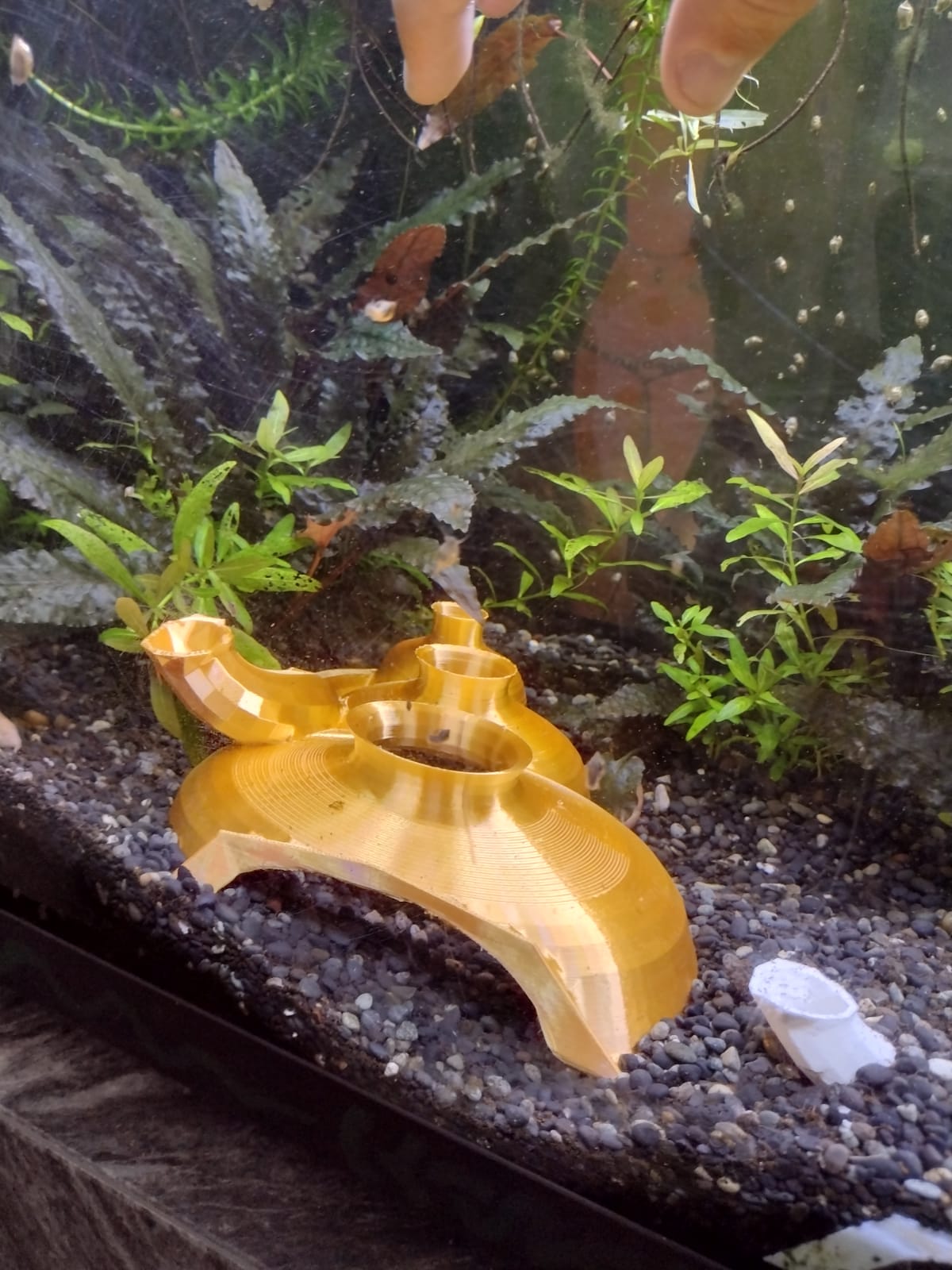 Shrimp Pantheon — thumbnail 5