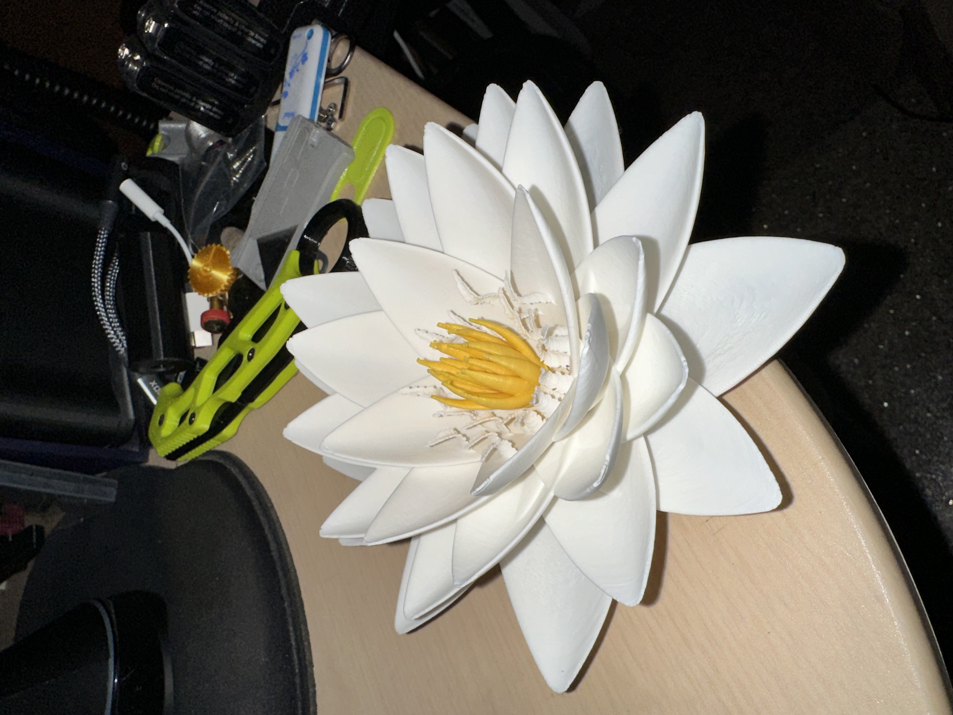 Lotus flower