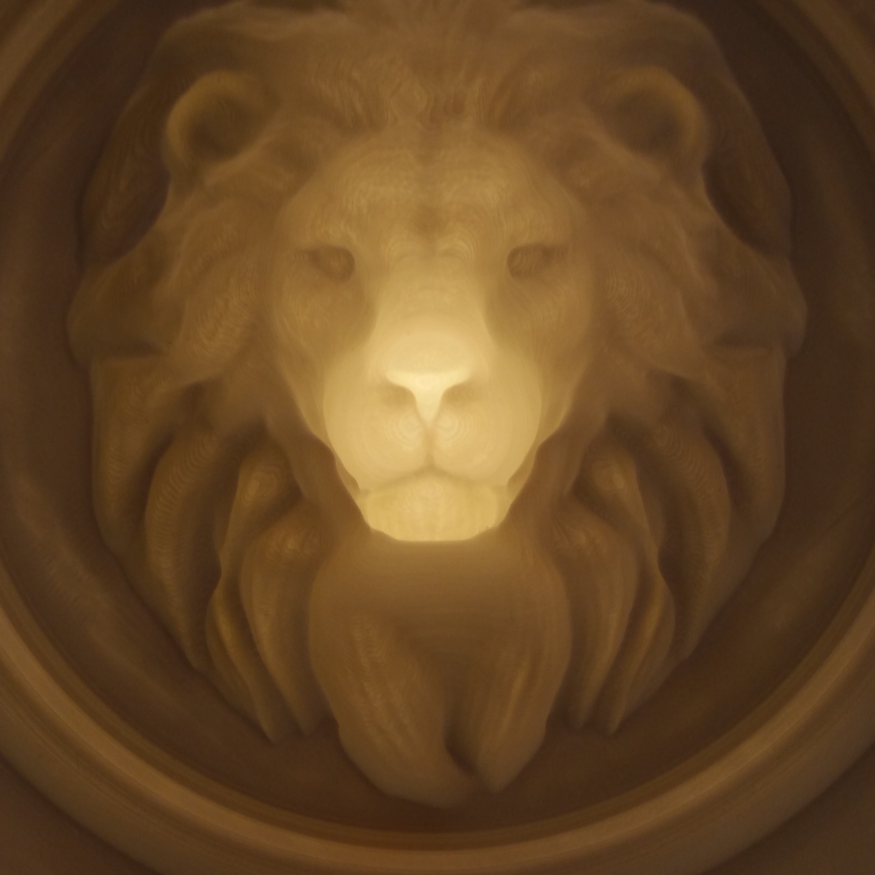 Lion - 3D optical illusion by RobertoColucci_3D | Download free STL ...