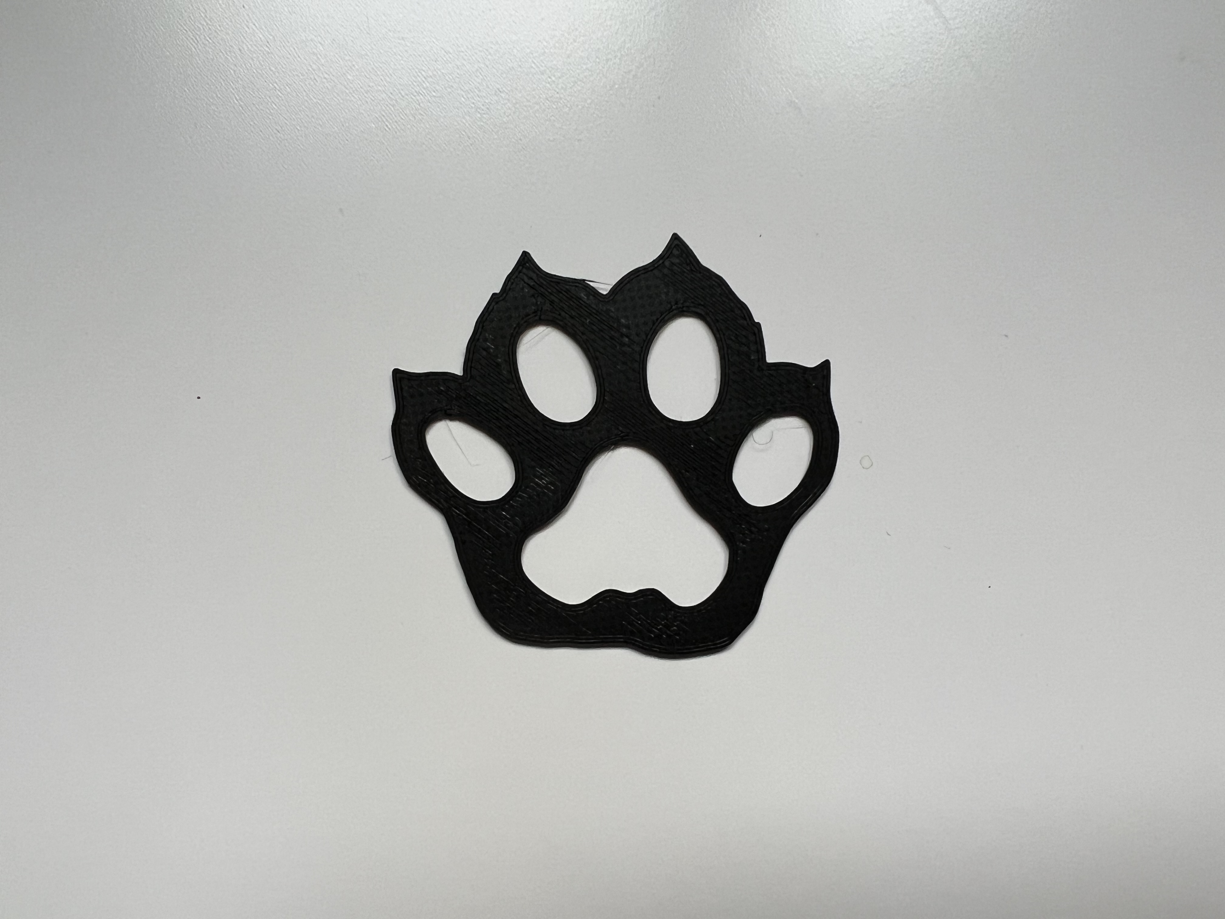 Paw Wall Art #1