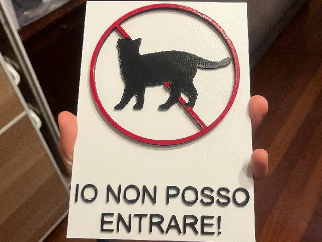 IO NON POSSO ENTRARE!