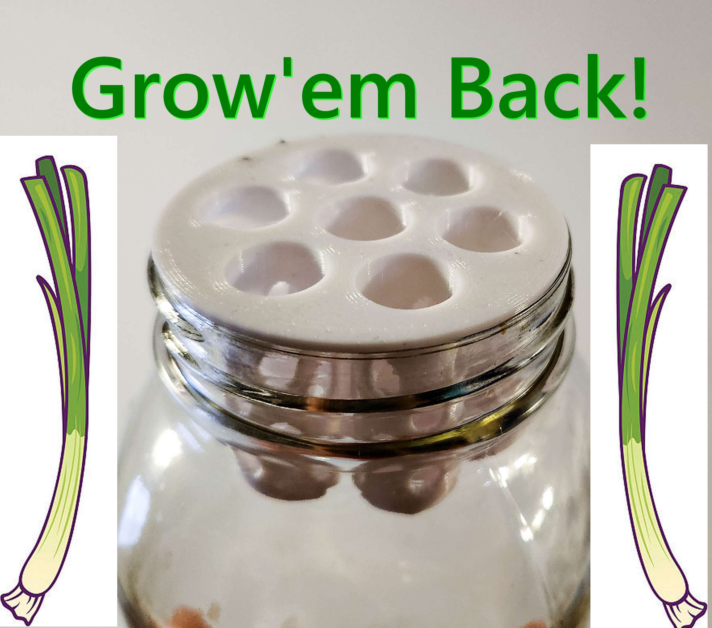 Green Onion Scallion Mason Jar Farm Re Grow Hydroponic Kratky TEMU