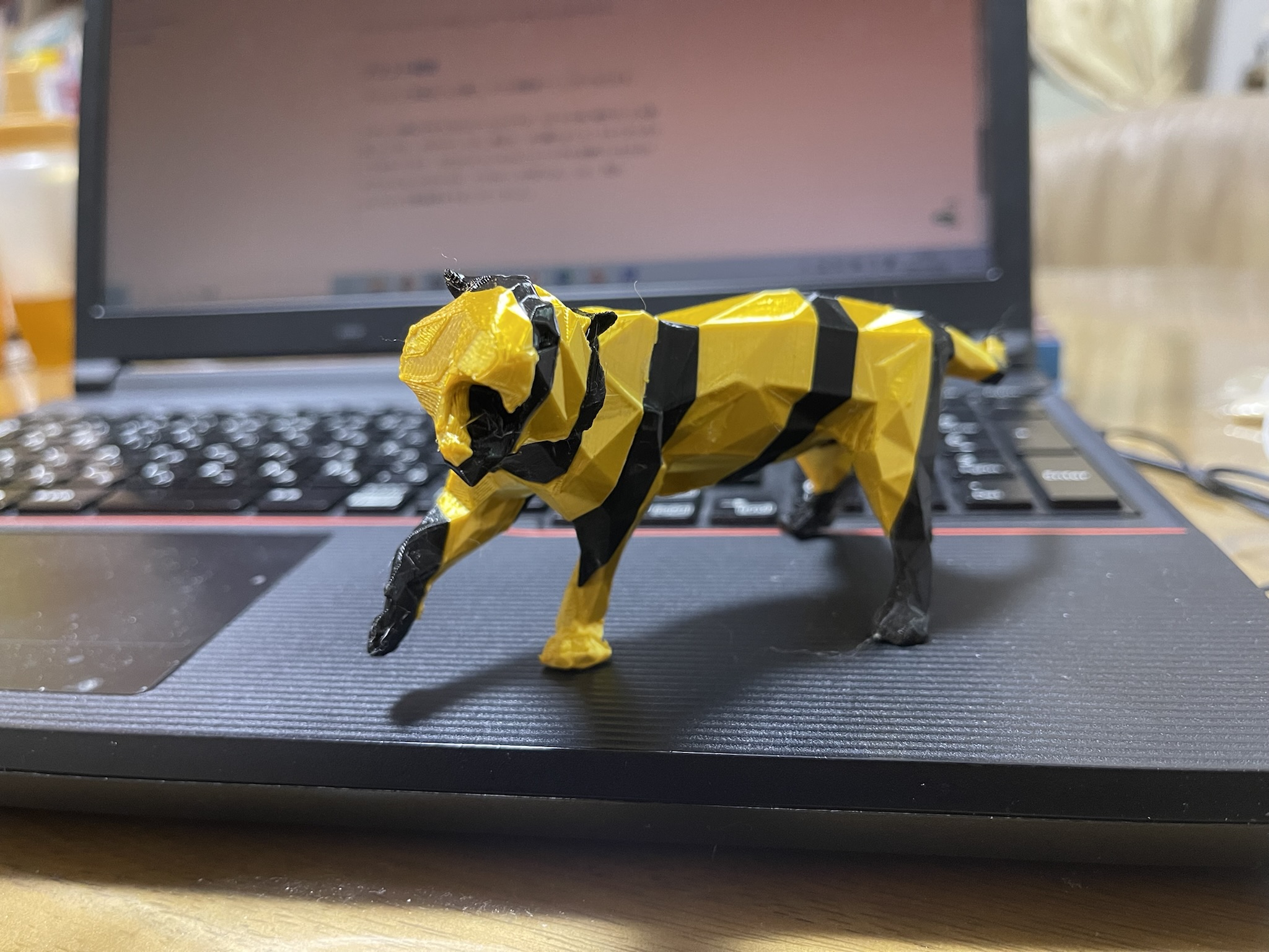 2022 Zodiac - Tiger in dual colors