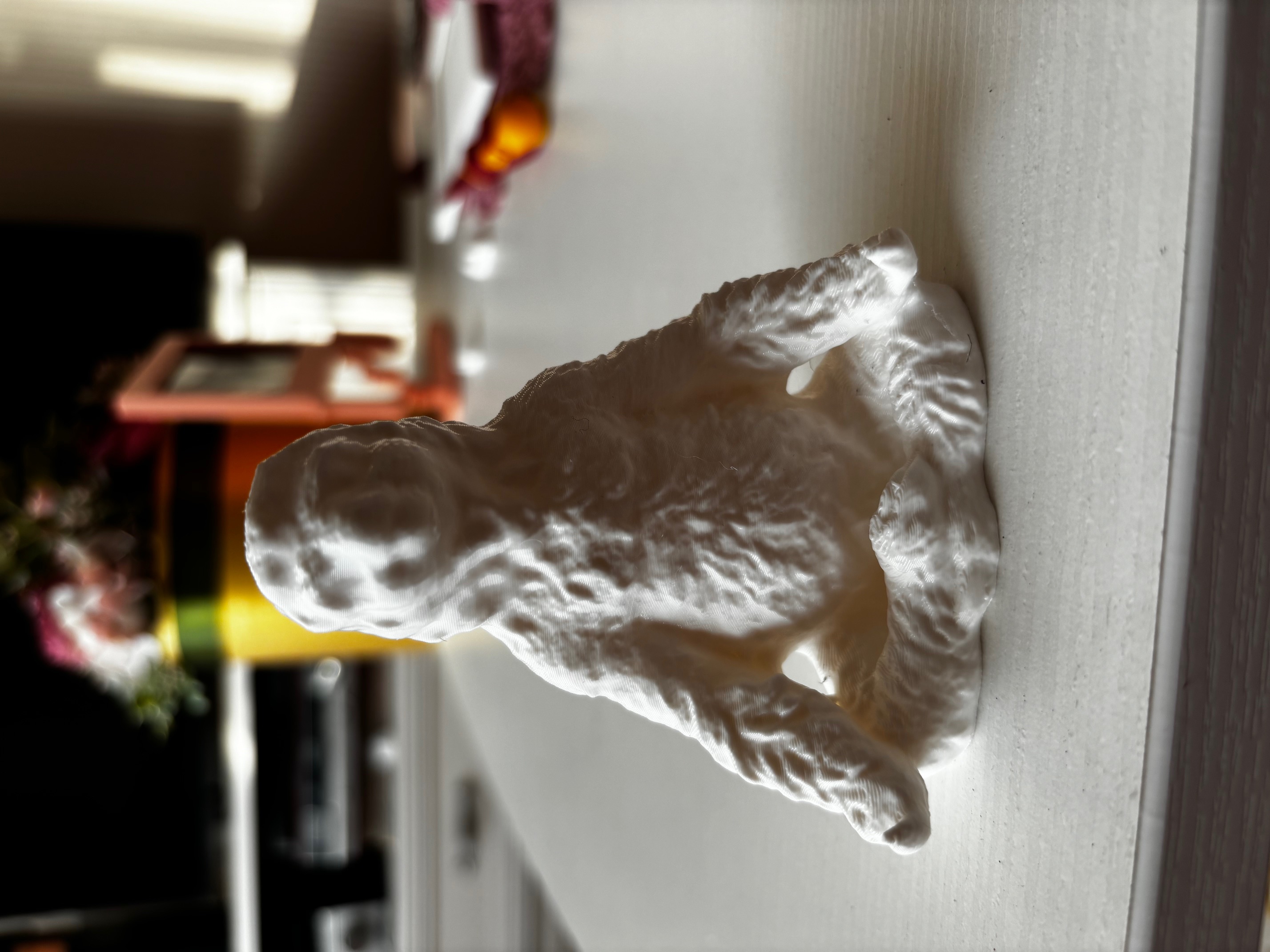 Meditating sloth