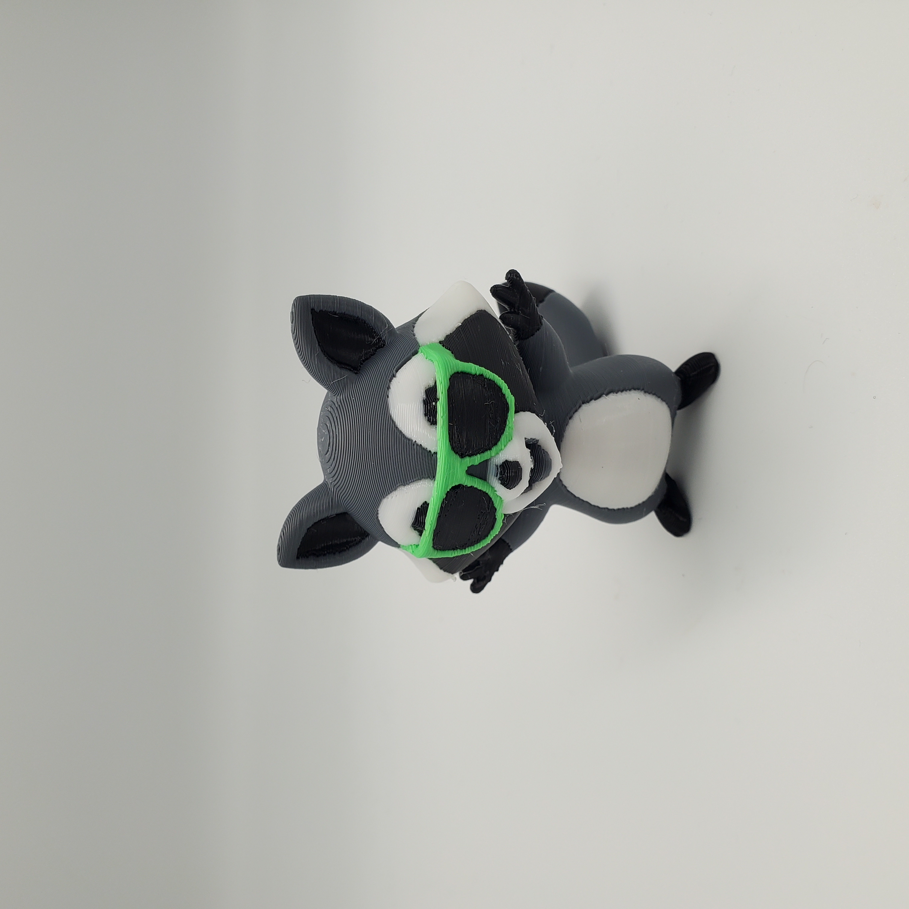 Cool Racoon