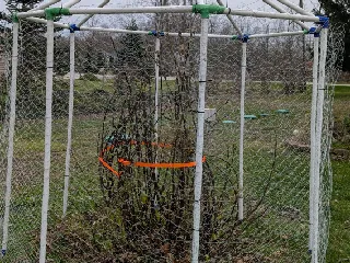 Shelter Pvc Pipe Frames