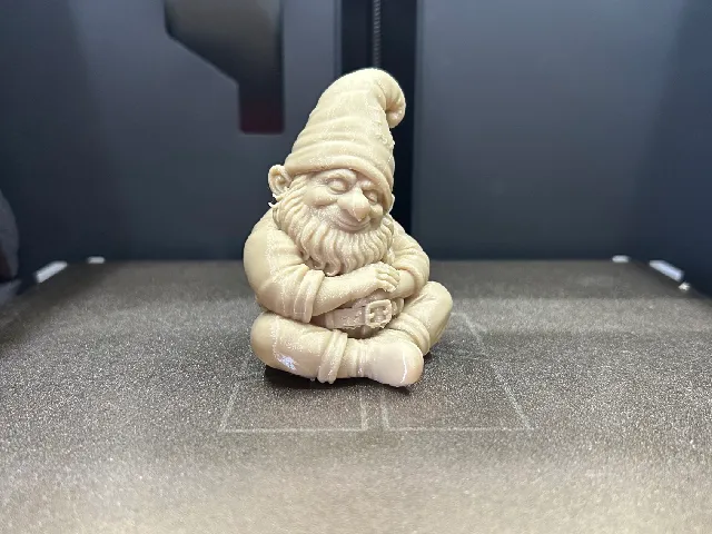 Sleeping Gnome