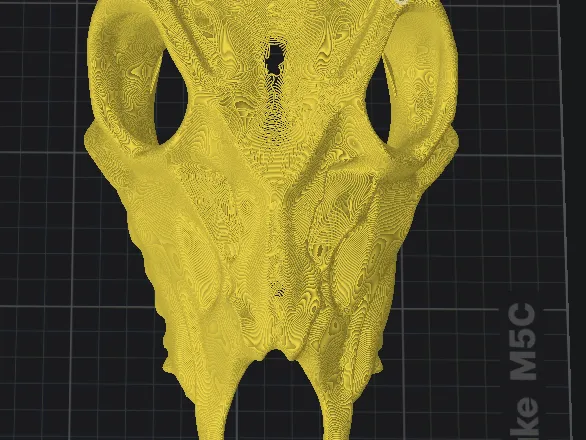 Stag Skull
