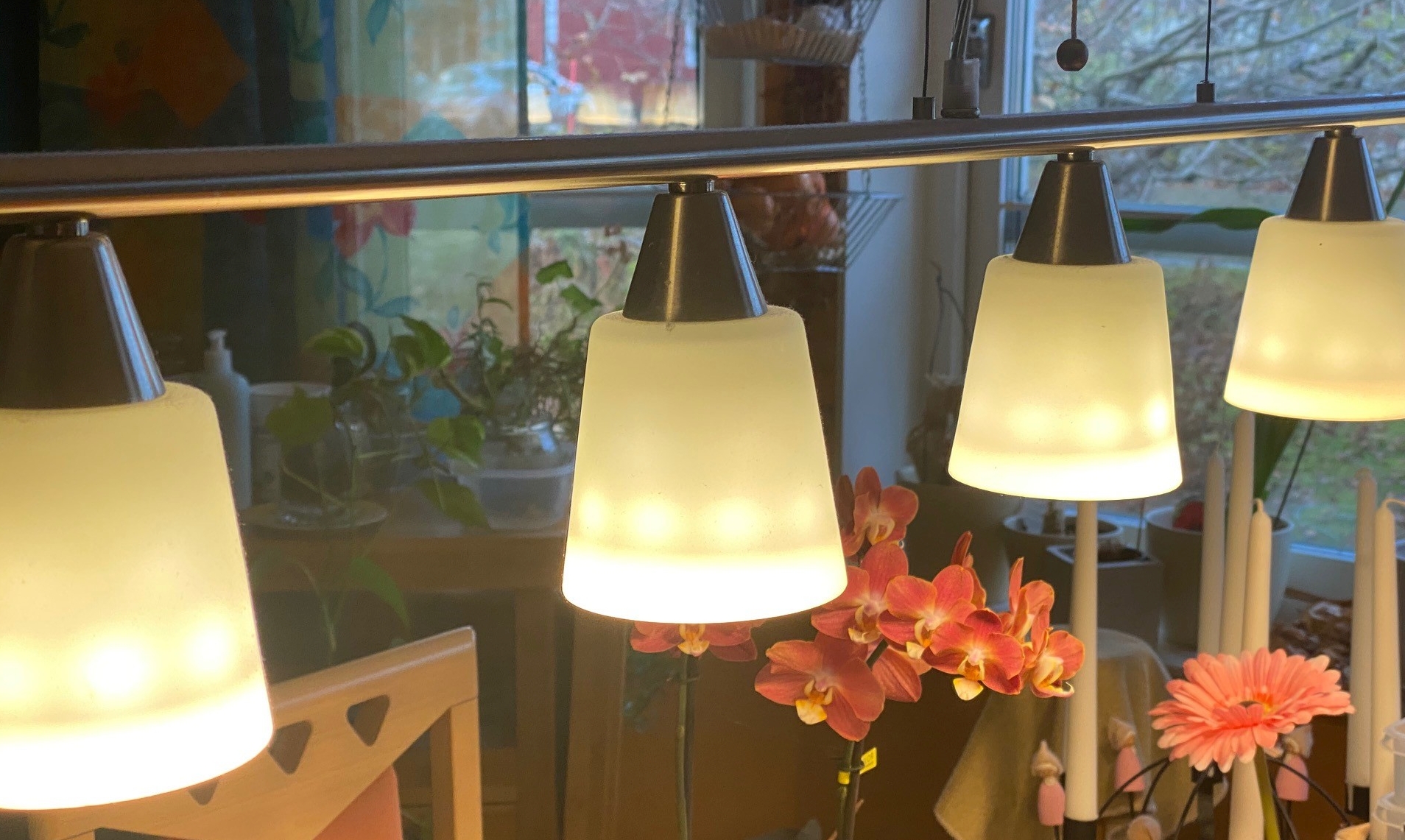 Halter für LEDs GU10