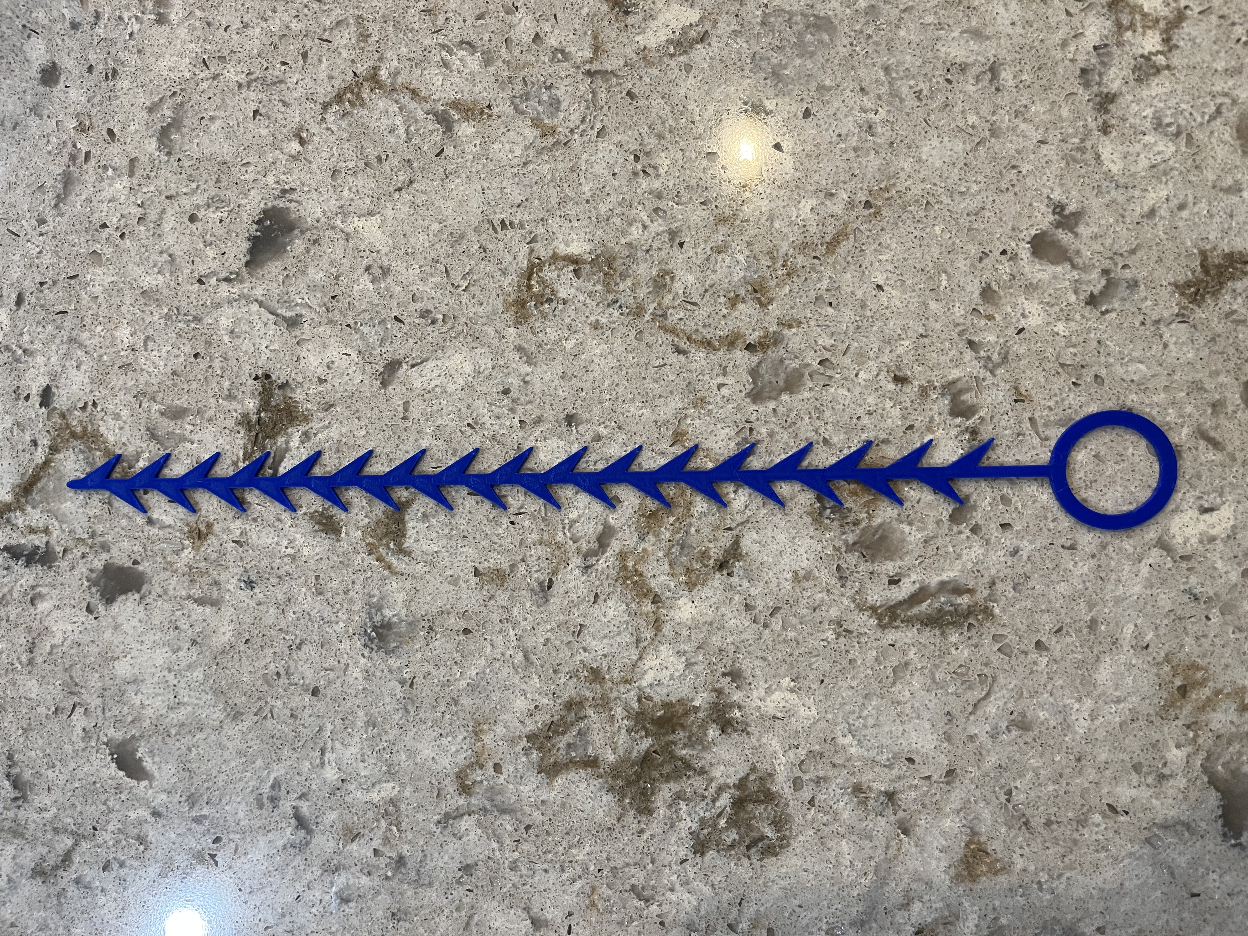 The Drain Snake