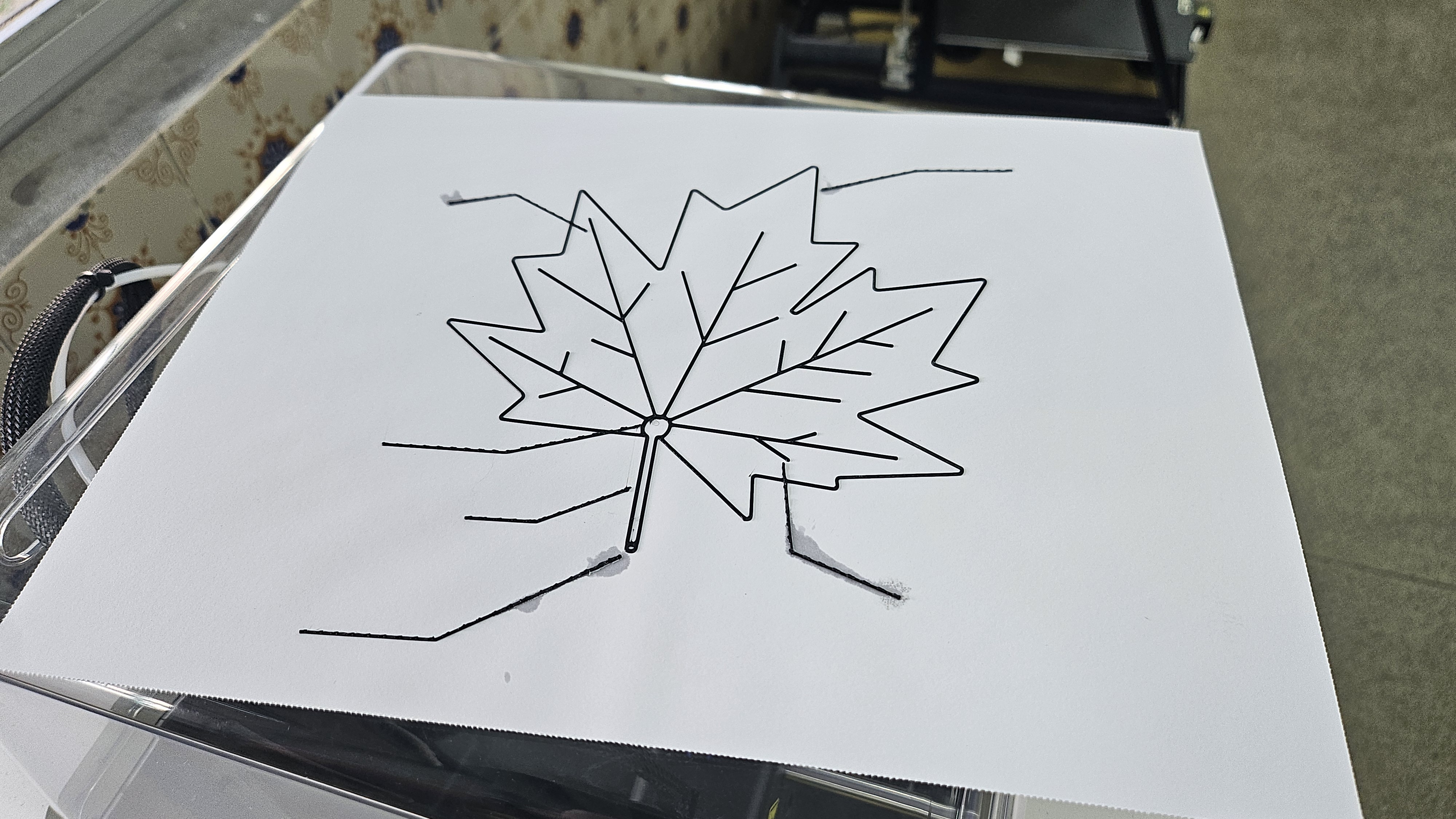 Tactile image: maple leaf