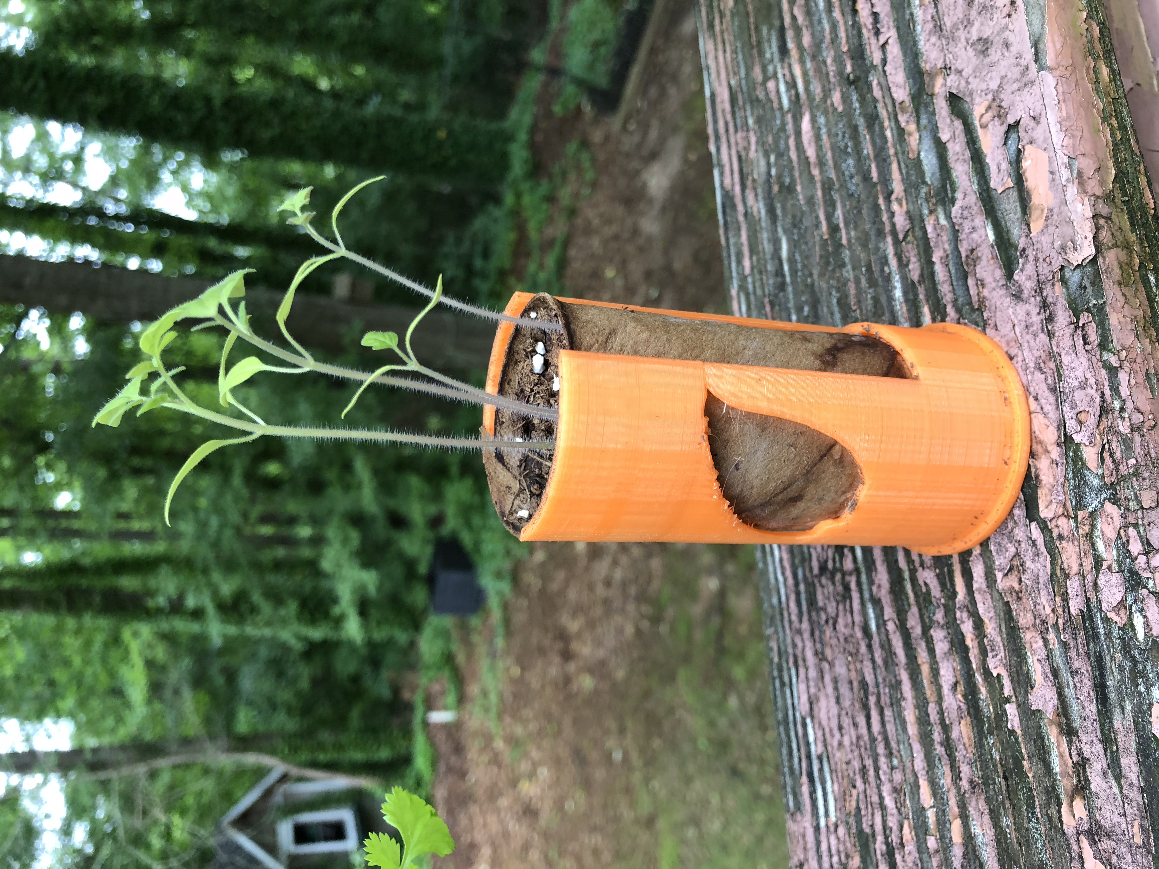 Seed Starter — miniatura 3