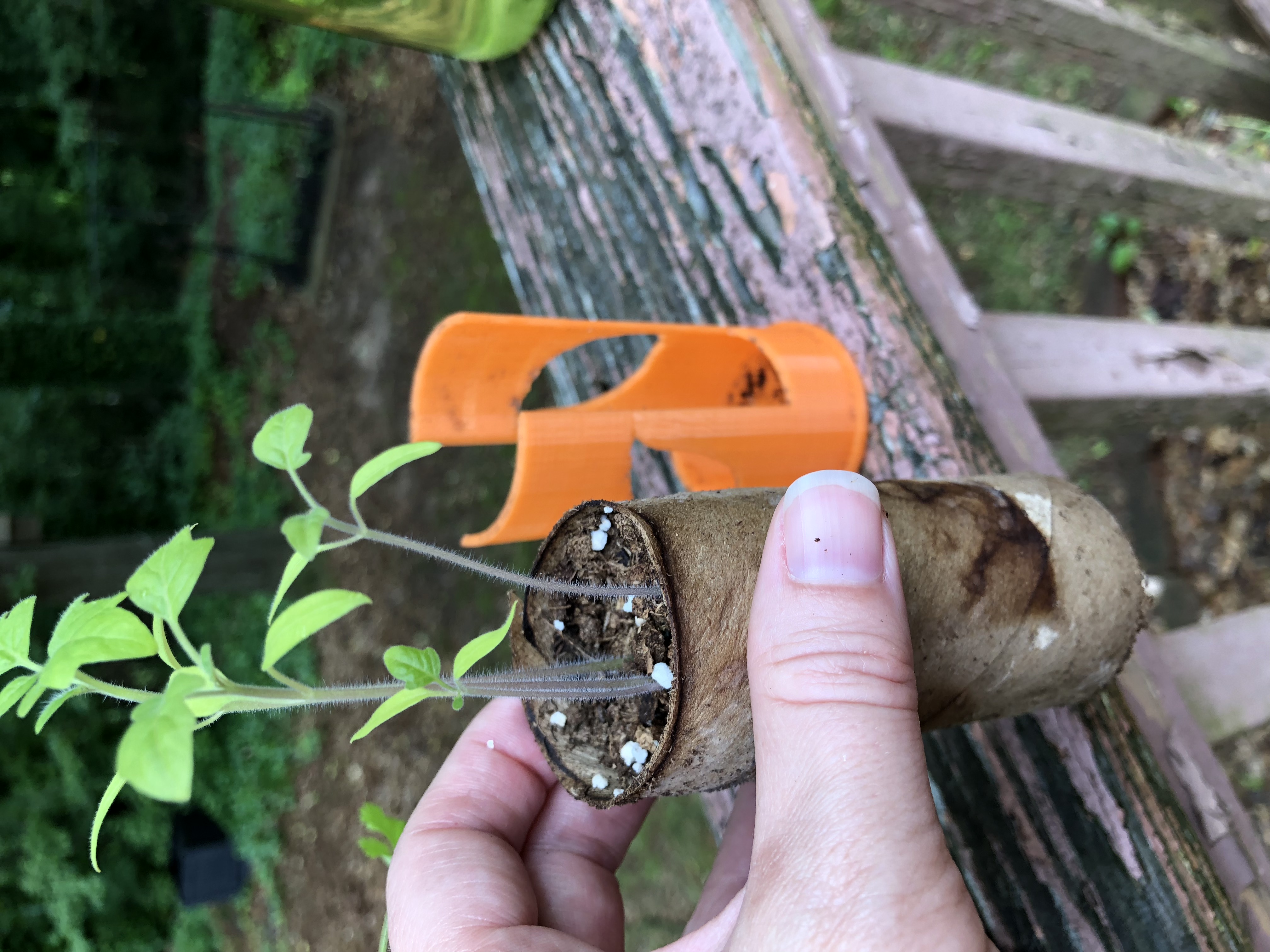 Seed Starter — miniatura 5