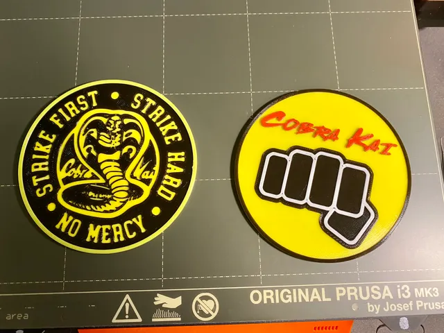 Cobra Kai Koasters