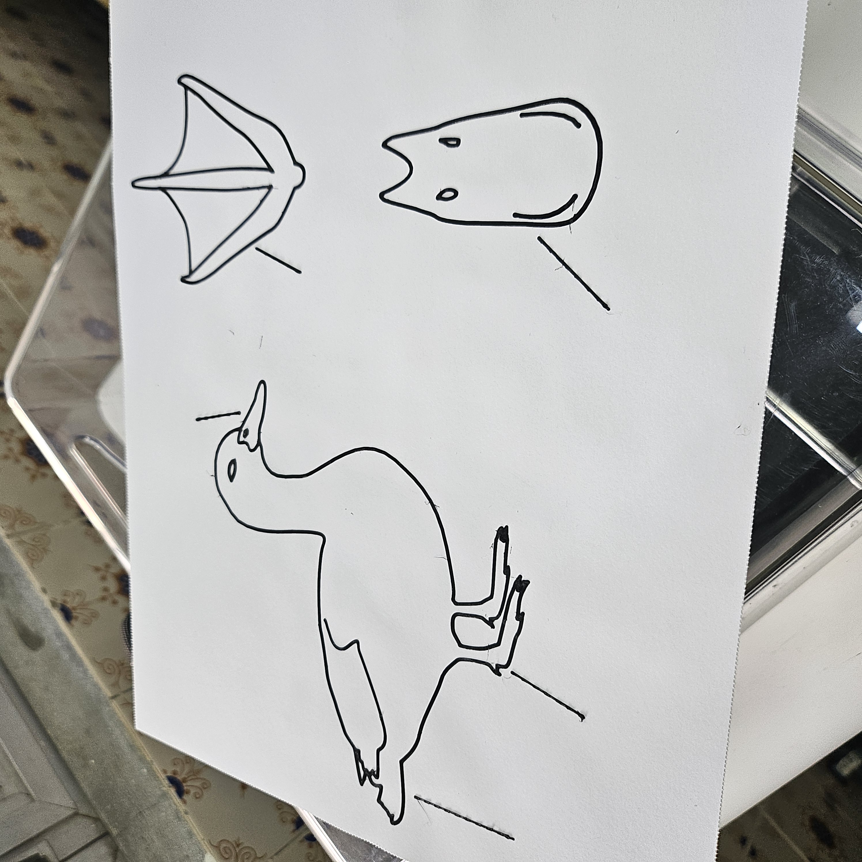 Tactile image: duck