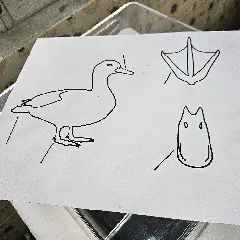 Tactile image: duck